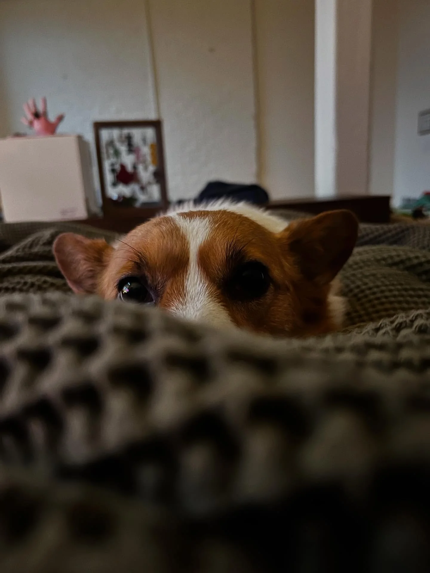 Romanticizing my life, even when it hurts. 

Sometimes I&rsquo;d rather stay in bed, let the world forget me, fade away like a bad memory. Sometimes, the joy and friendship and peace ring through me with such force that I can&rsquo;t imagine being an