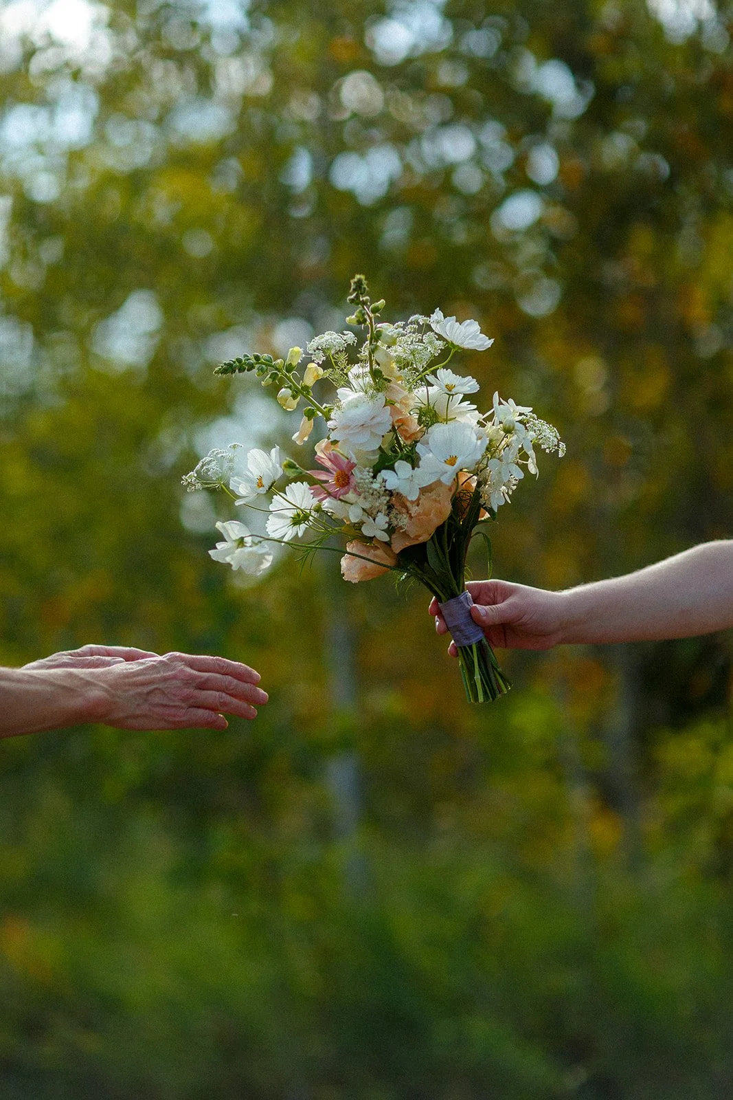 Person hands exchanging a flower bouquet outdoors, with a blurred background of green and yellow trees.