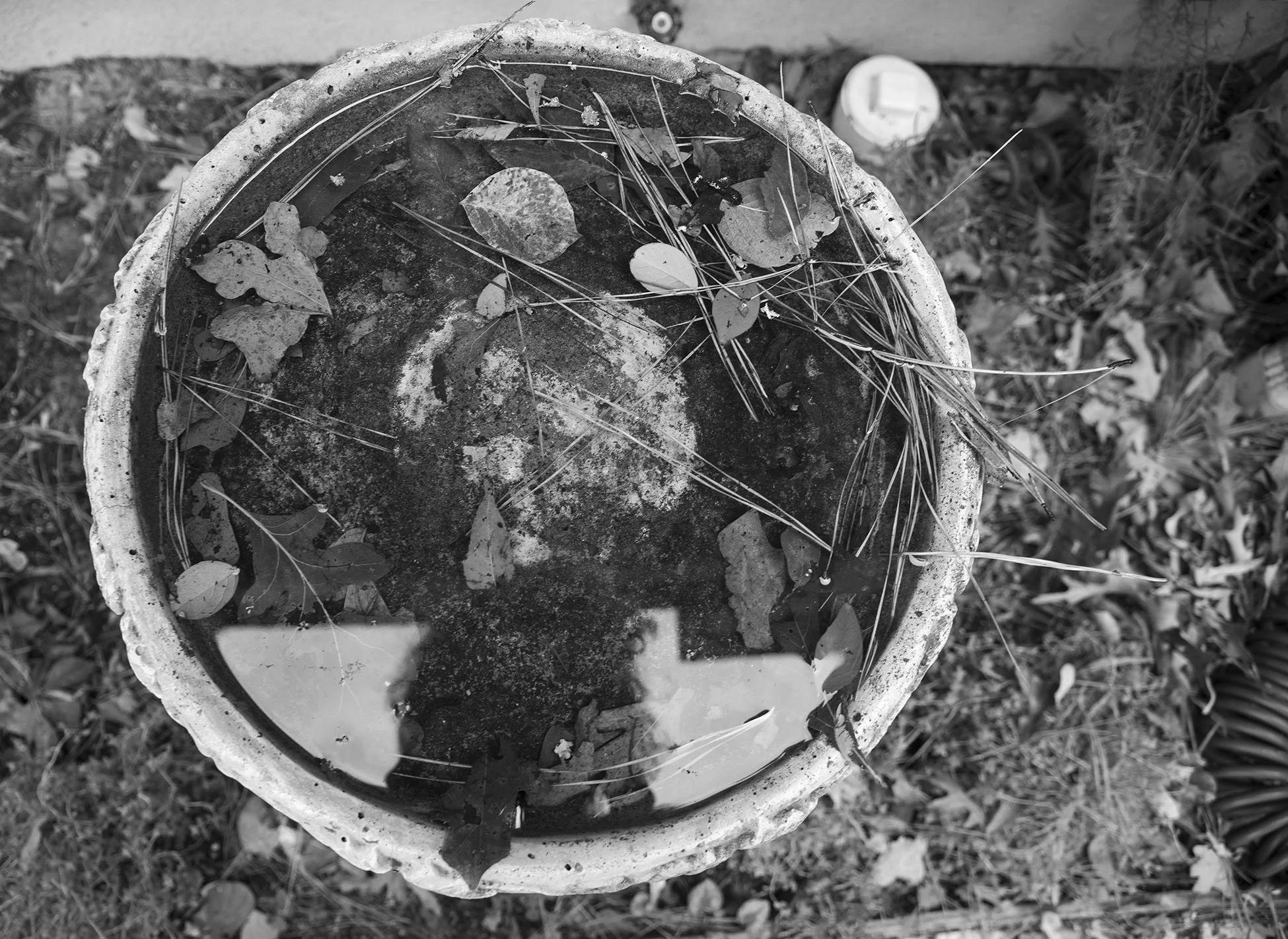 6 BirdBath Blurb.jpg