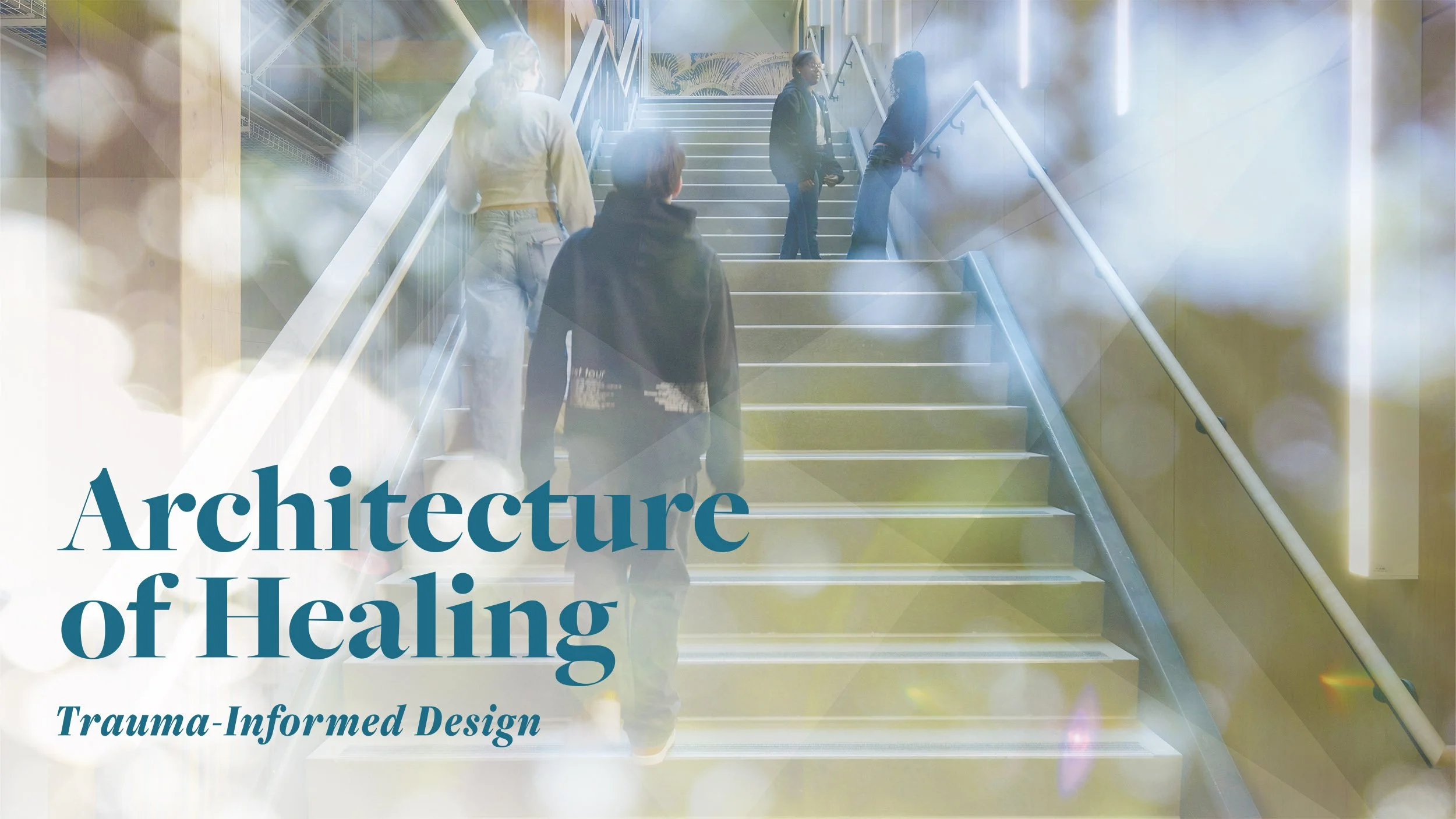 Bassetti Architects
