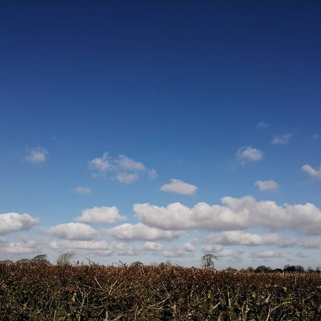Look at that beautiful sky. Can't make cider so we may as well get out into the countryside and appreciate it and the lack of vapour trails in the sky. #blueskies #nature #southdowns #southdownscider #sussex #enjoythecountryside #ringmer @sharonreid5