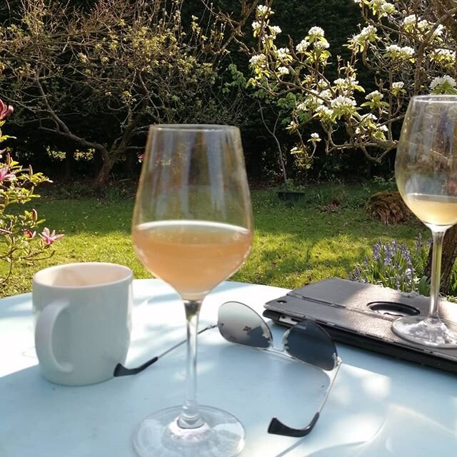 Busy doing nothing #rhubarbcider #southdownscider #cider #lockdown #sunnyafternoon