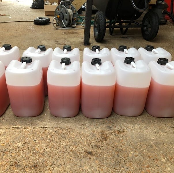 Beautiful rhubarb juice from rhubard grown by Bluebell Farmhouse Kitchen ready to be blended with our cider. #bluebellfarmhousekitchen @bluebellfarmhousekitchen #growninsussex #cidermaking #southdowncider #rhubarbcider #rhubarbjuice #rhubarb #noartif