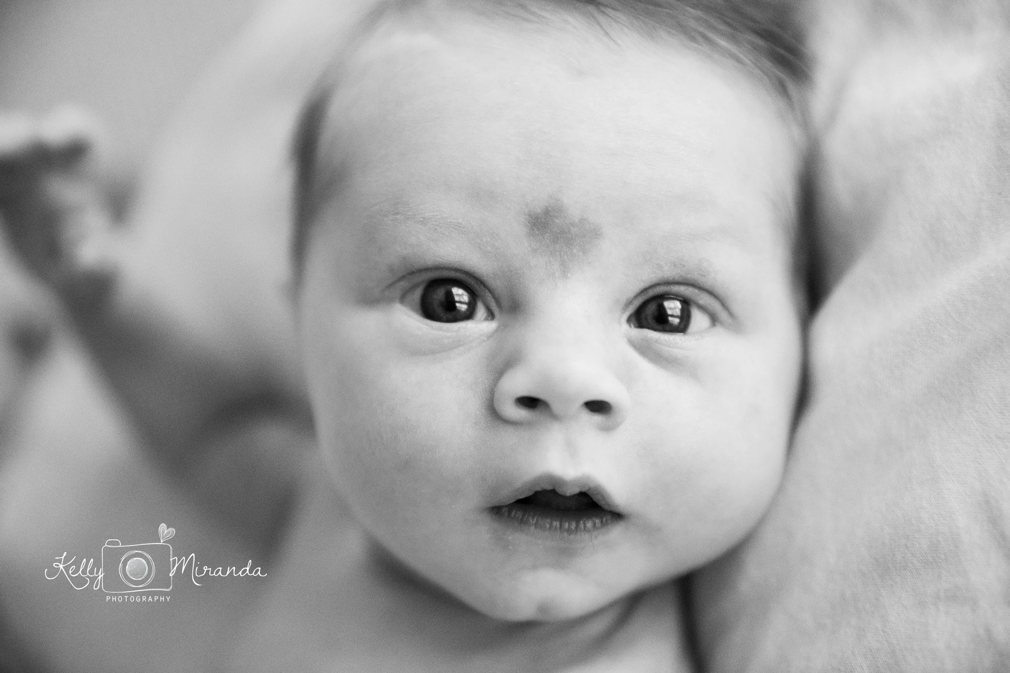 What does an in-home newborn session look like and why would you want one? 
👣 More documentary, organic feel
👣 Don't have to leave the house
👣 Include furry siblings
👣 Simplicity
I LOVE studio sessions, and it is definitely easier on me as the ph