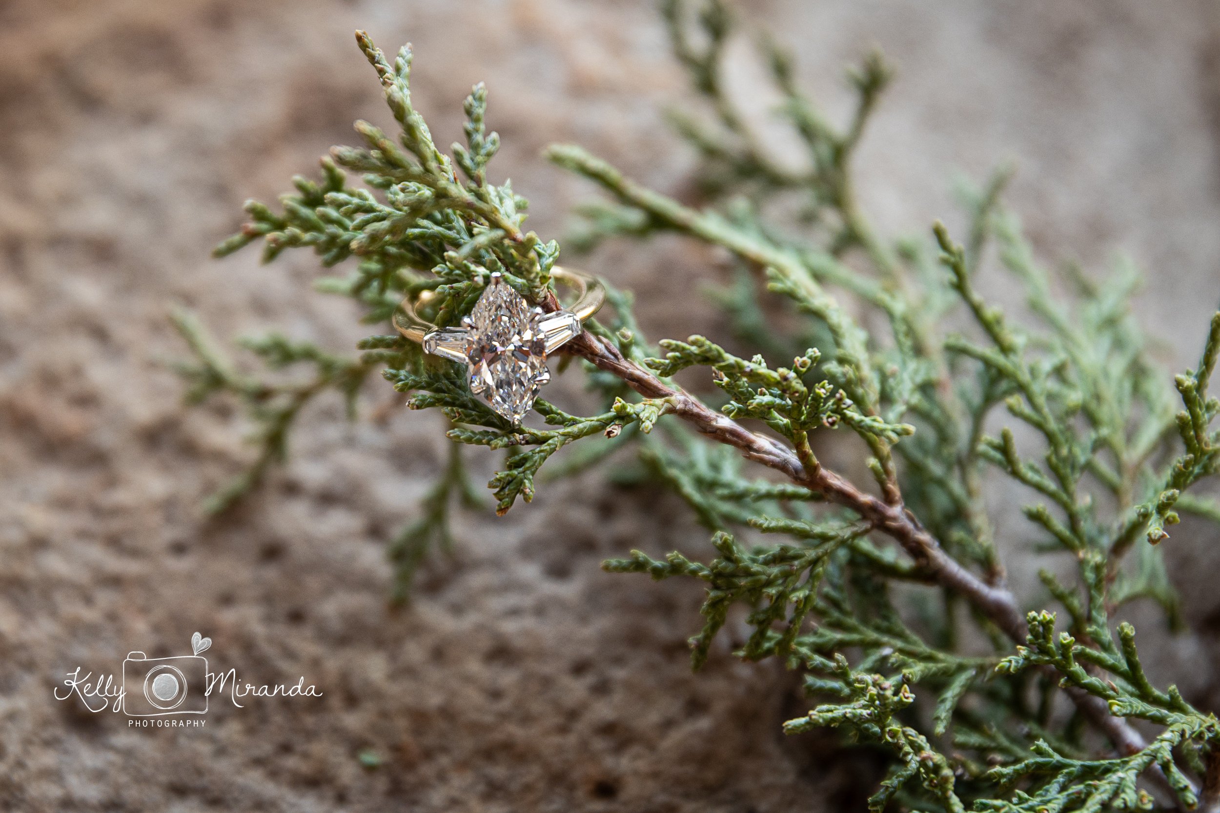 John and Olivia Blog 25.jpg