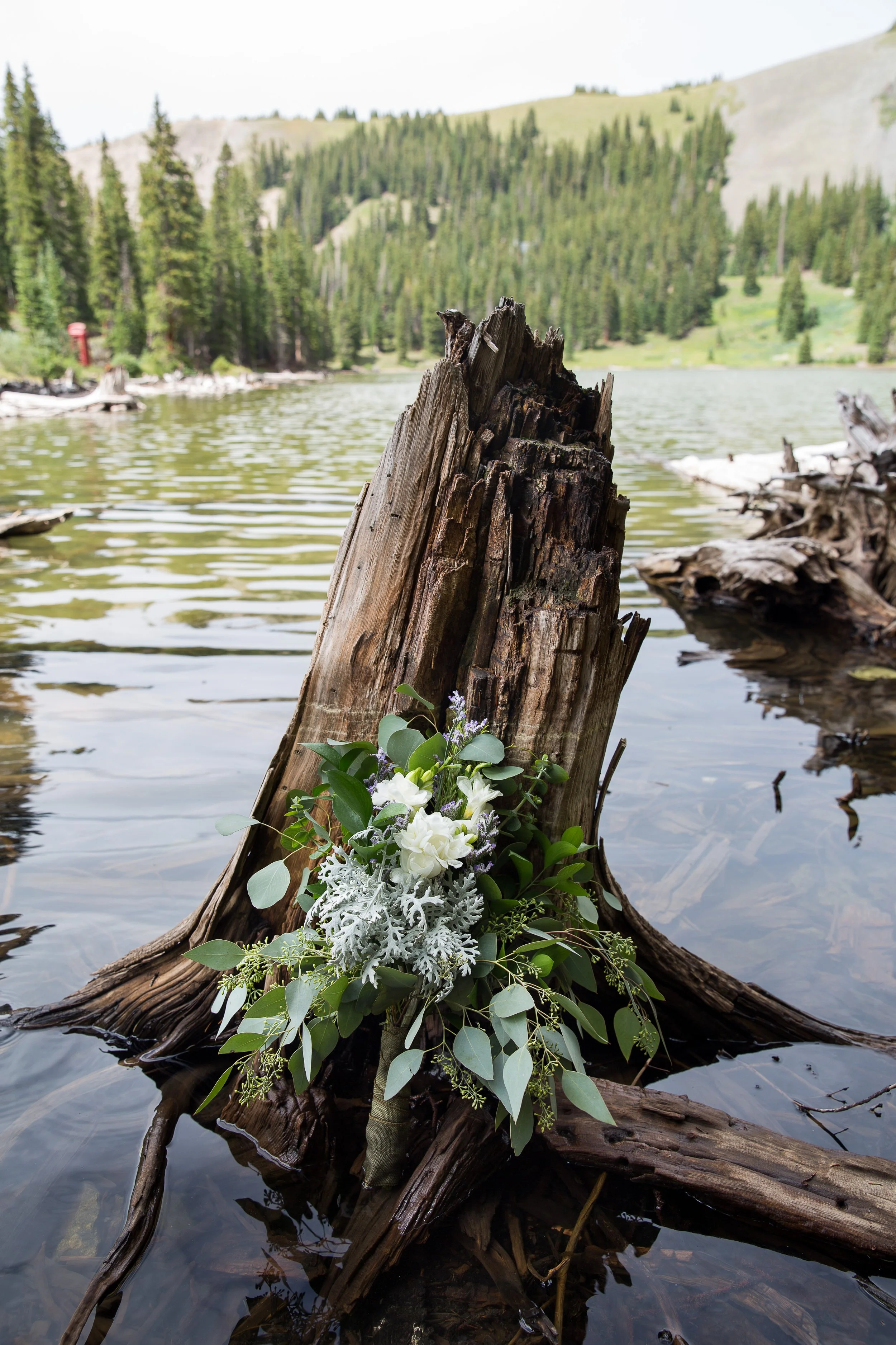 Kelsey and Adam Blog 15.jpg