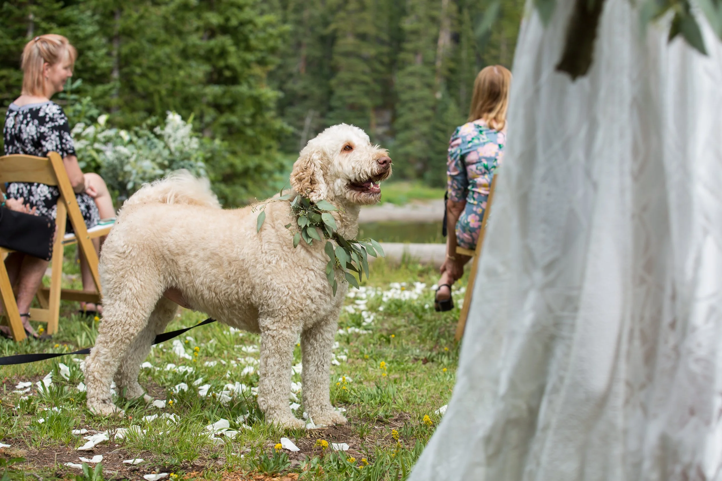 Kelsey and Adam Blog 45.jpg