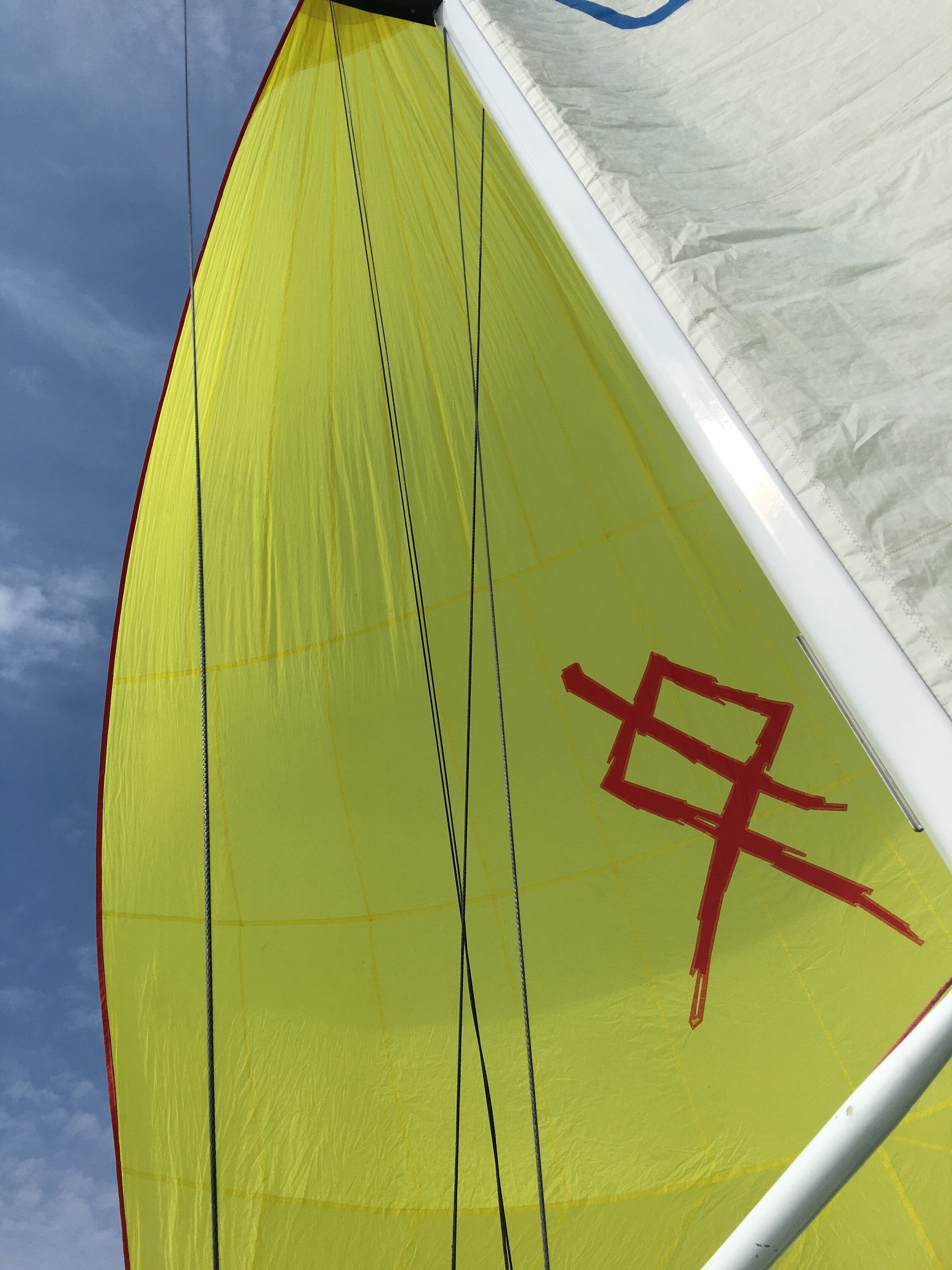 Ø spi logo flying.jpeg
