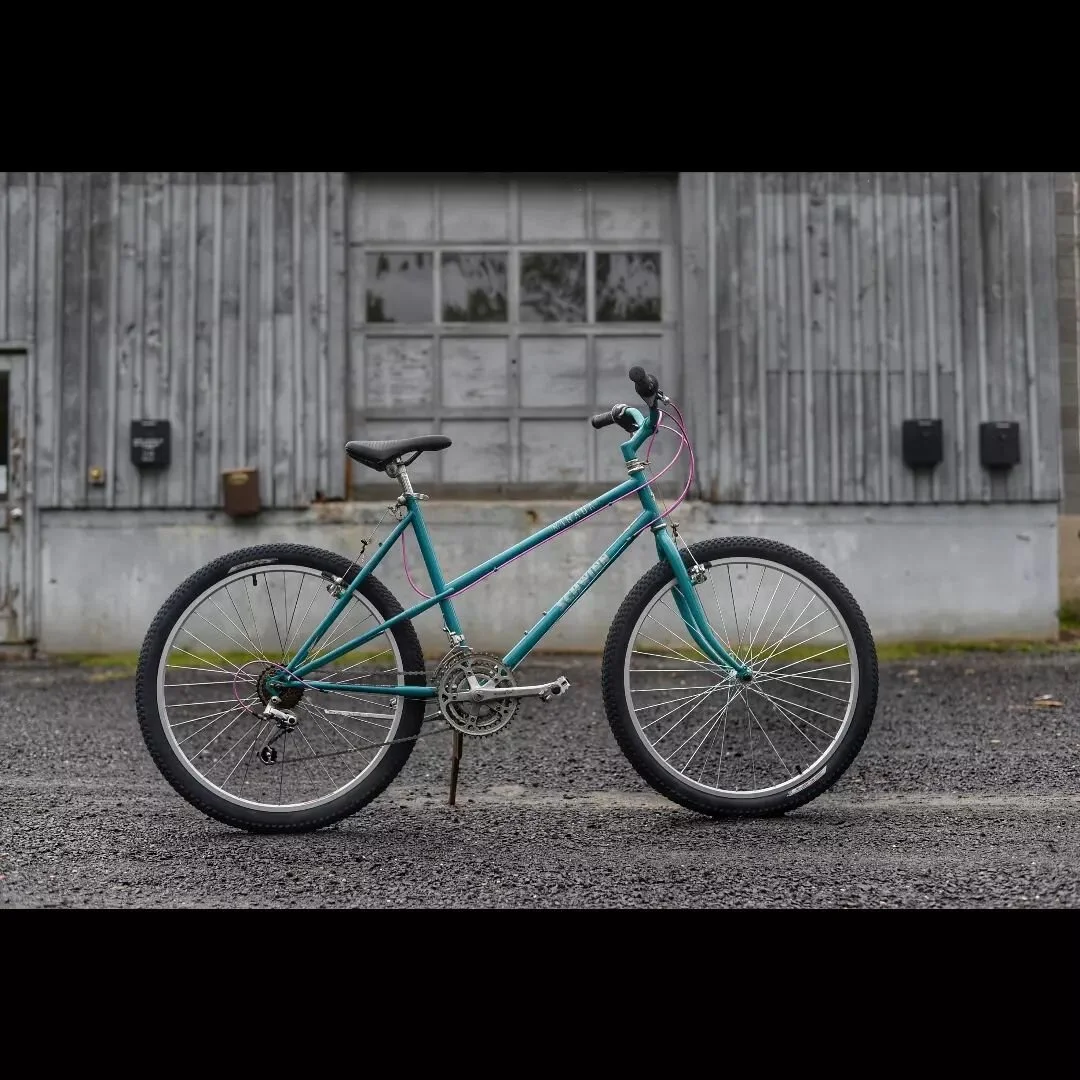Take a &quot;look&quot; at this Schwinn Mirada 👀 
Available for test rides until it sells. 😊
.
.
#usedbikes #localbikeshop #schwinn #refurbished #secondhand #tealisreal #steelisreal