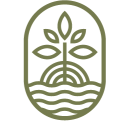 Simple line drawing of a plant with leaves inside an oval frame