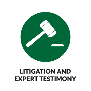 06+Litigation+and+Expert+Testimony.png