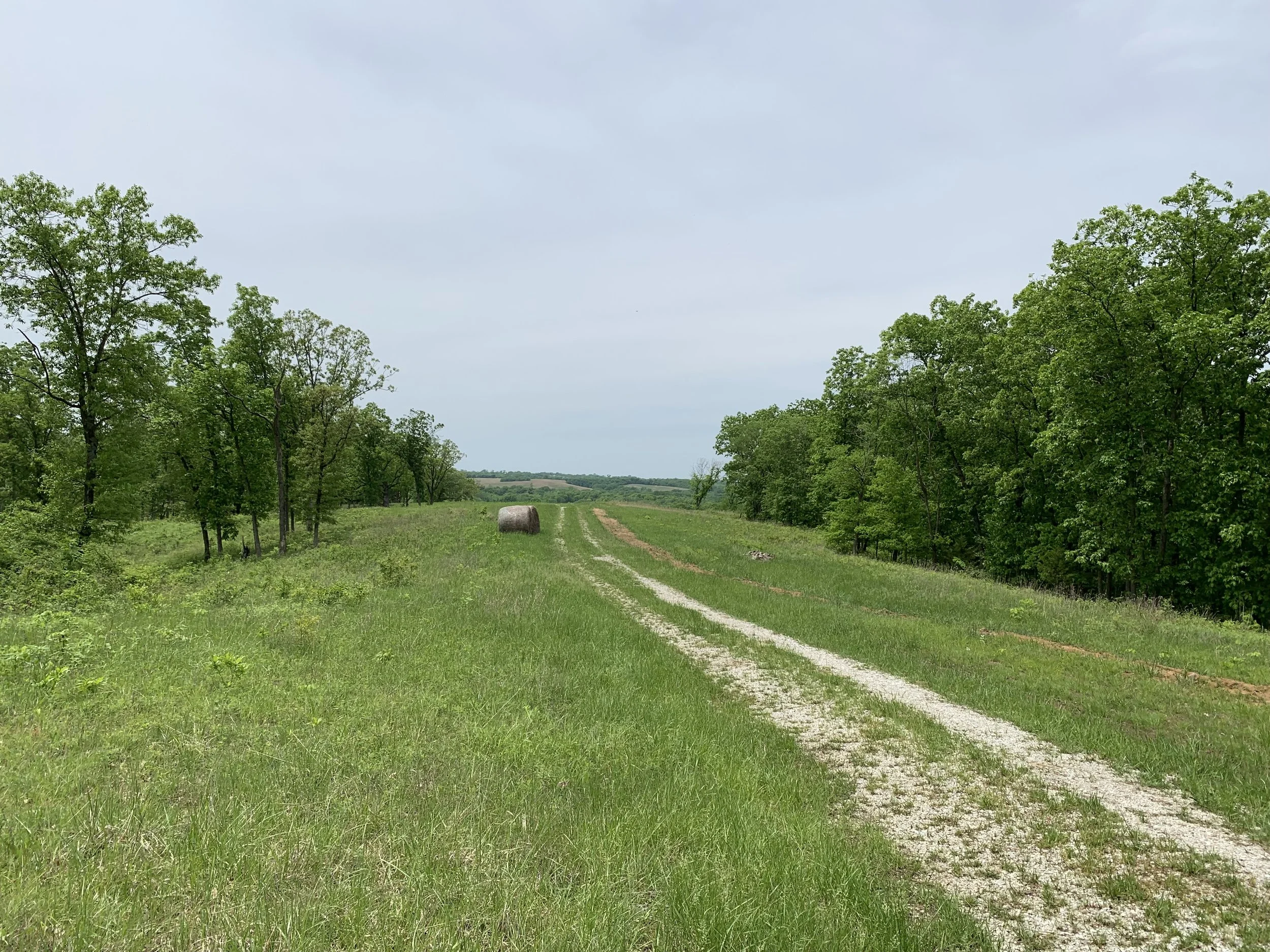 What’s Going to Happen to Land Prices in 2023?