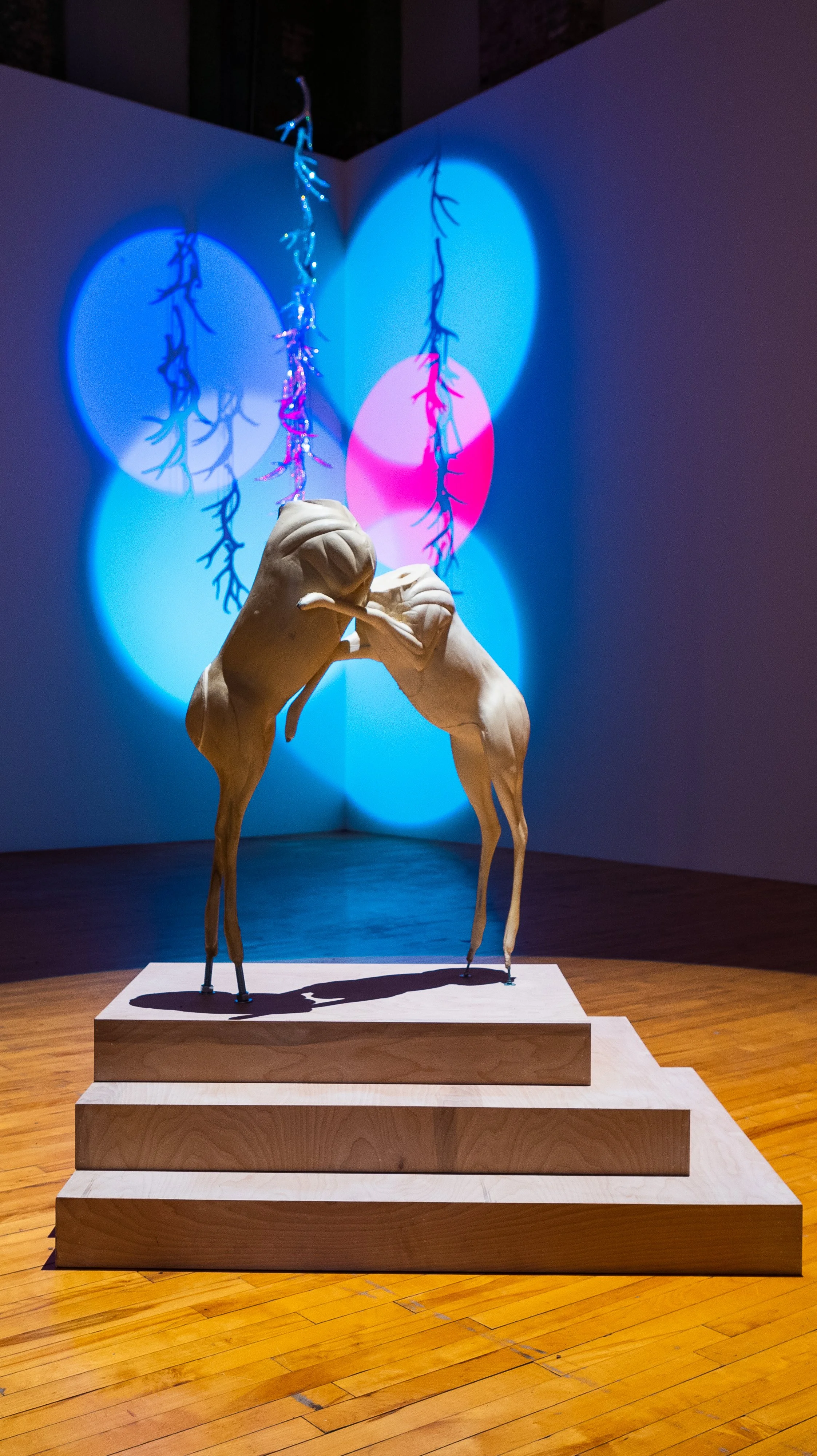 Marc Swanson "A Memorial to Ice at the Dead Deer Disco" - MASS MoCA 2022