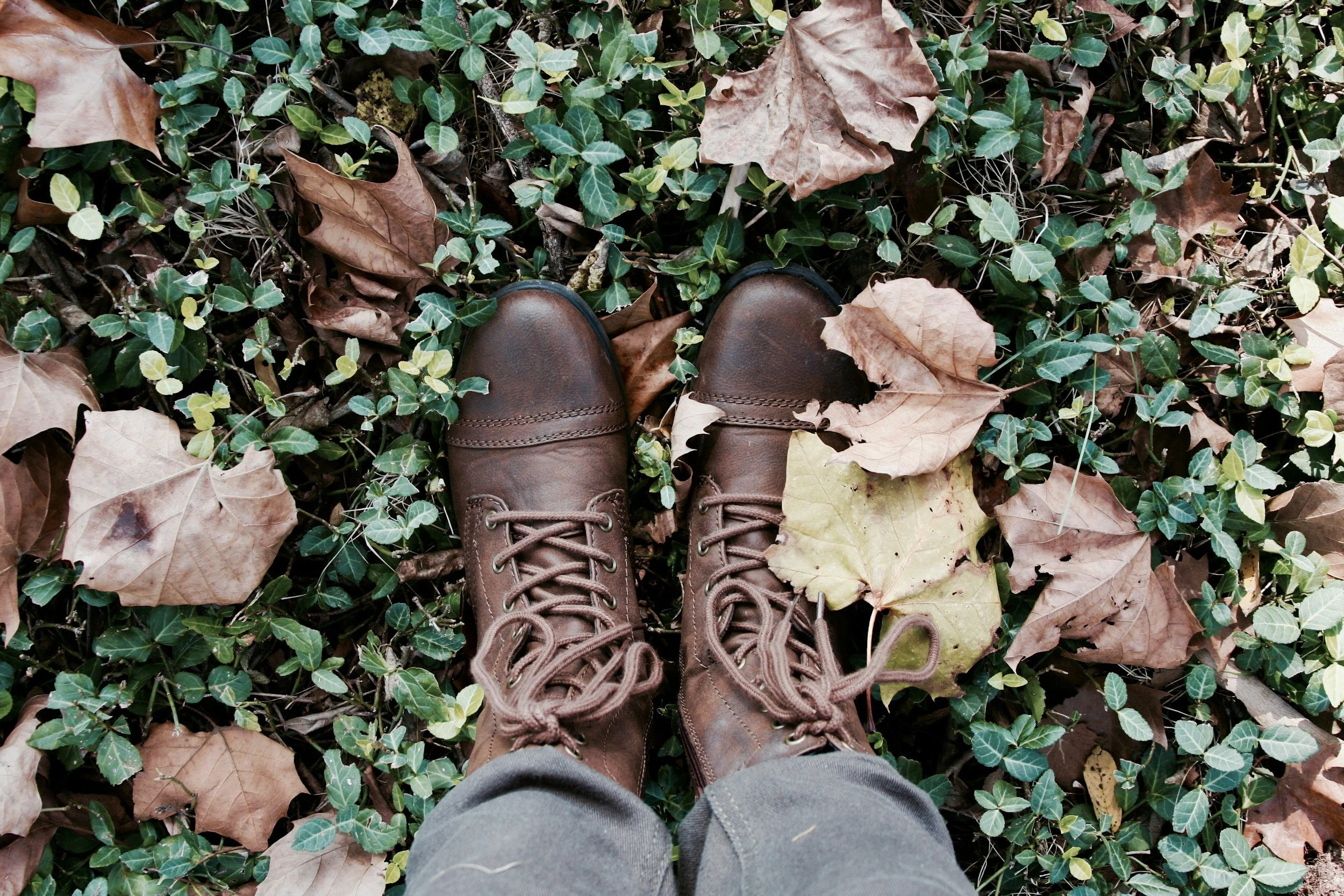A person wearing brown boots standing on a ground covered with fallen leaves and green ivy.