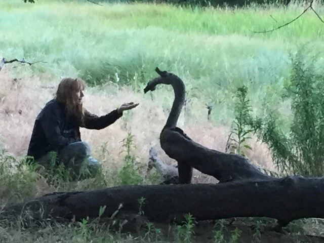 Bonnie finds a dragon (again)