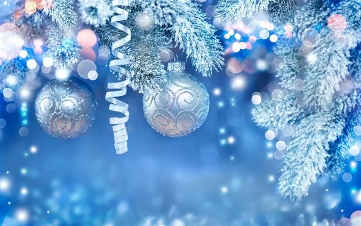Christmas Splendor 2.jpg