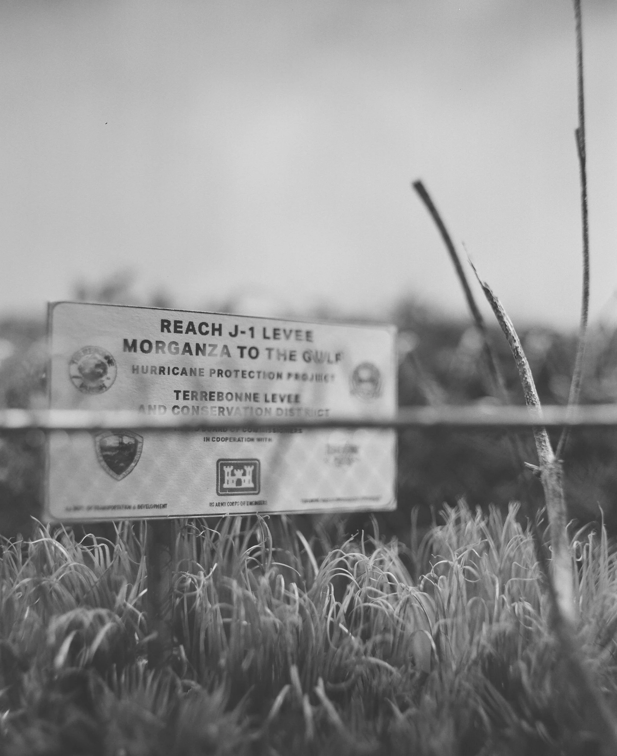 Levee Protection - 2025, 120 Film Photograph
