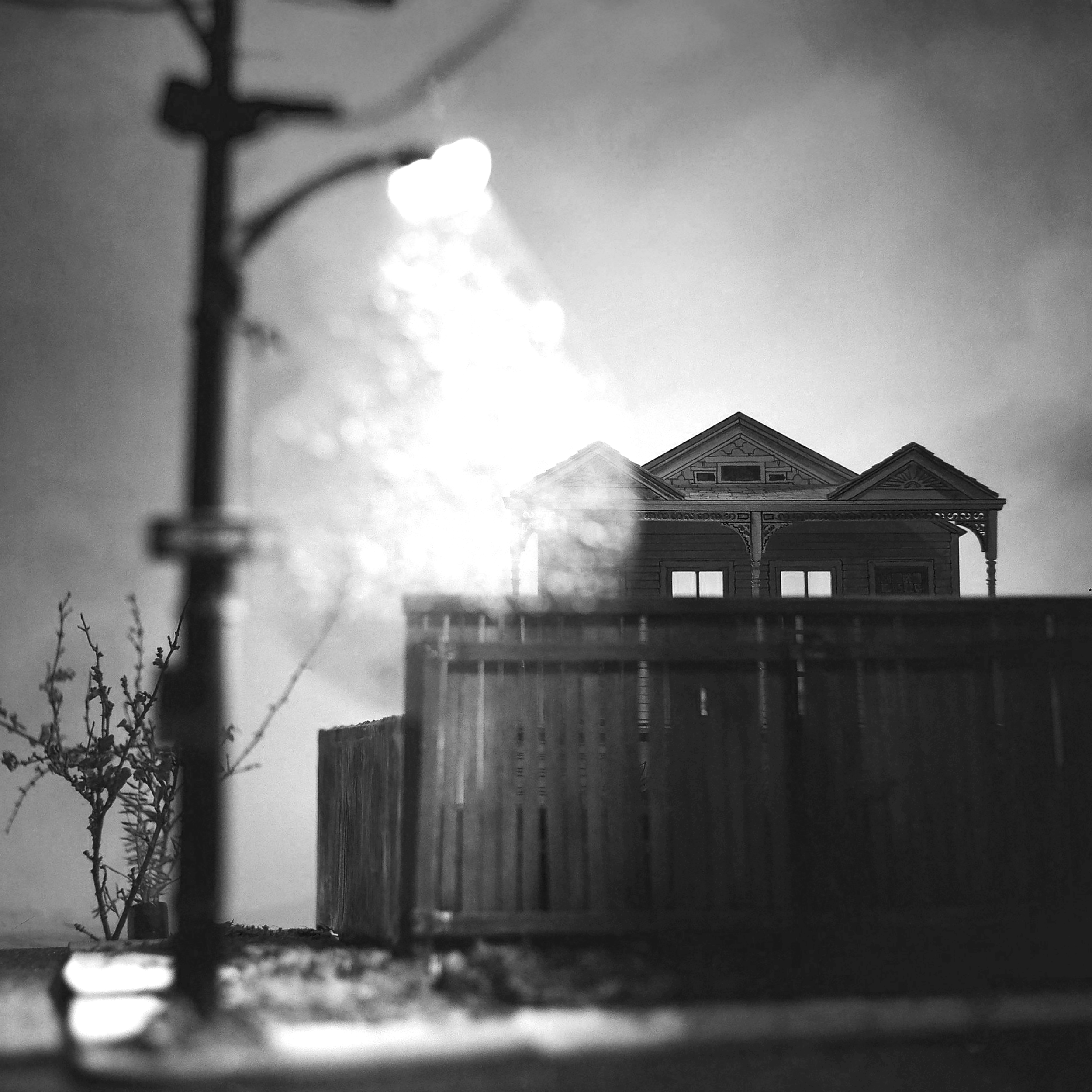 Termite Season - 2025, 120 Film Photograph