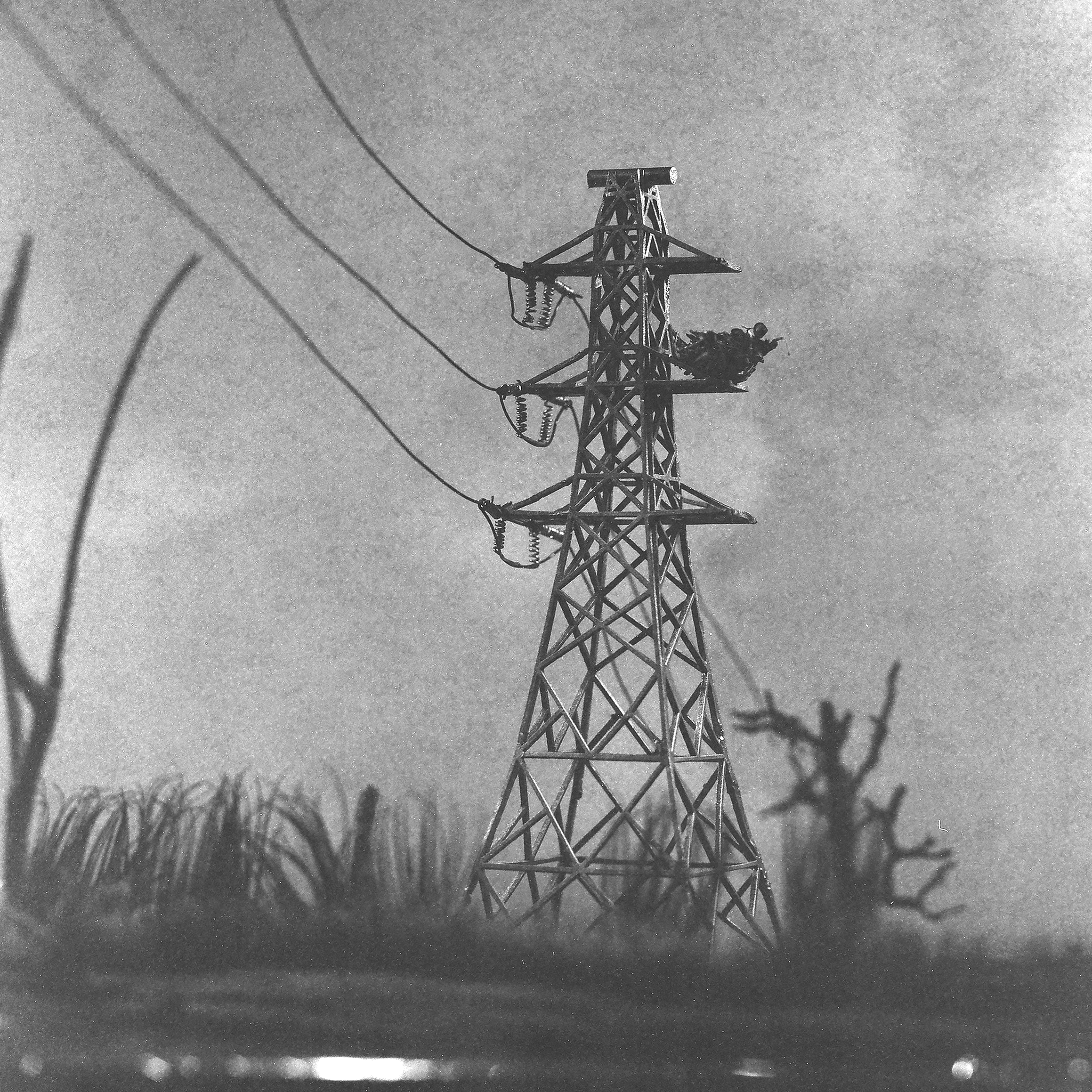 High Tension - 2025, 120 Film Photograph