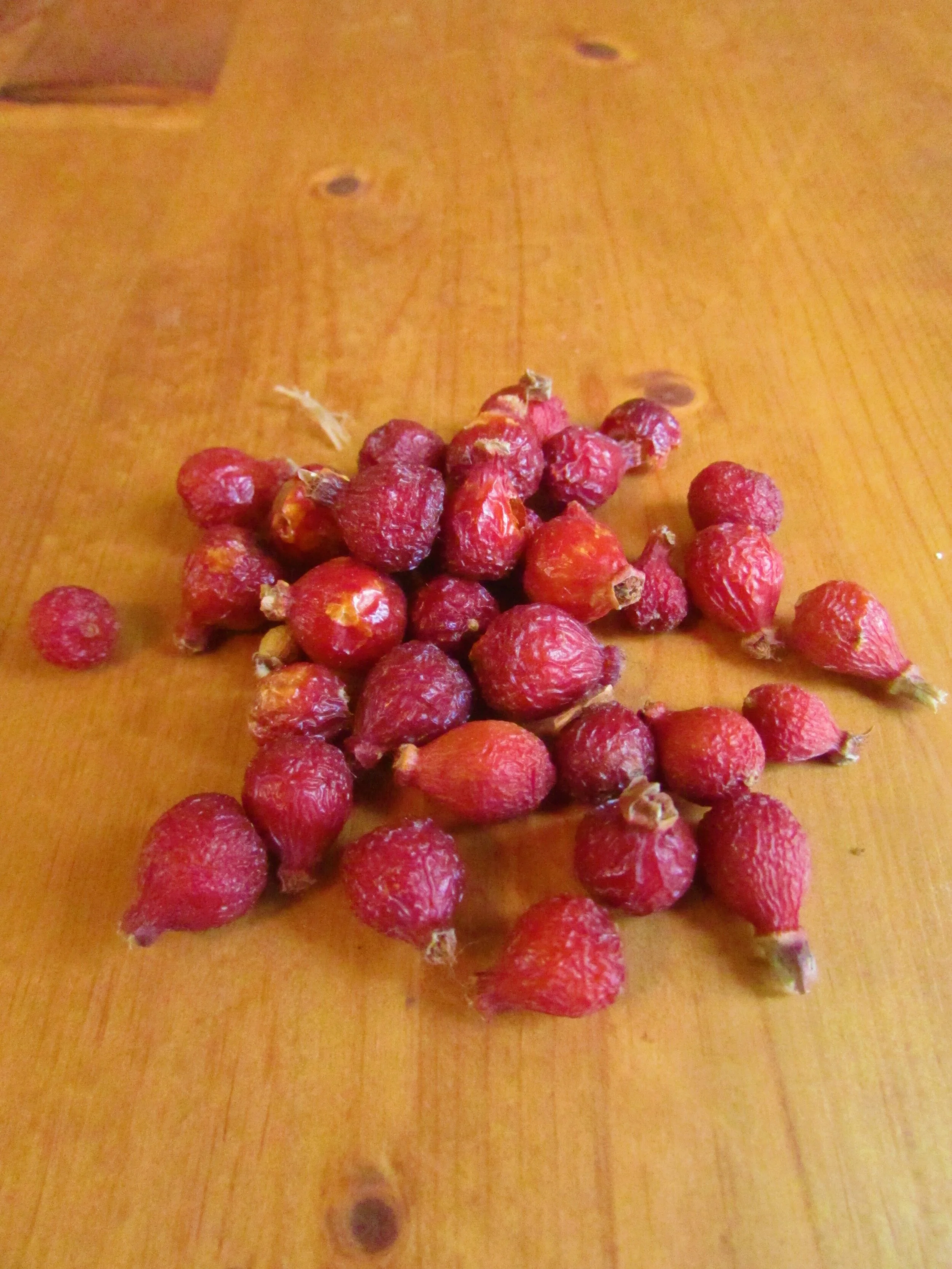 Herb Drying Tips Garbling and Passive Solar Drying Shed — Wayside