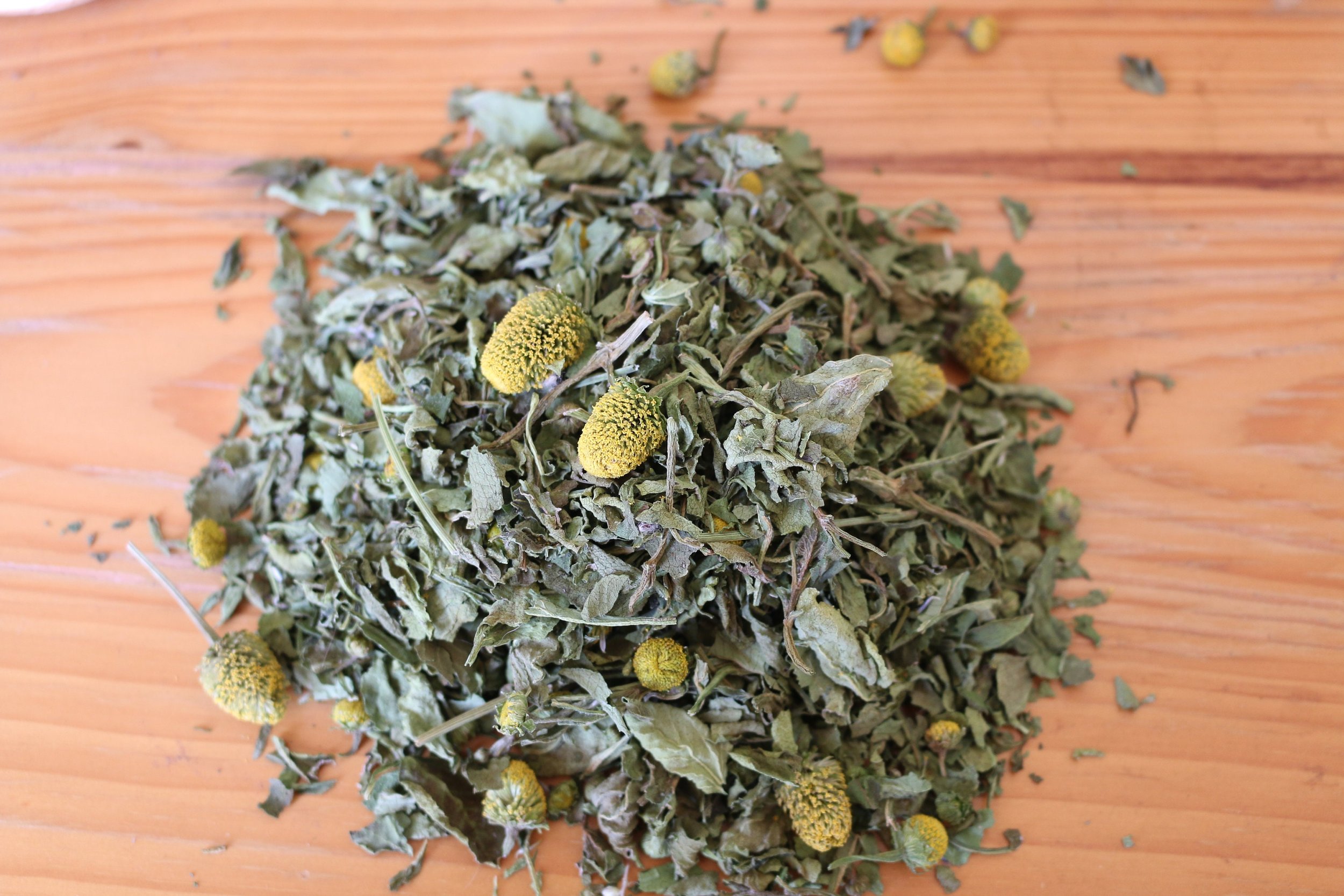 Spilanthes Dried, Spilanthes acmella