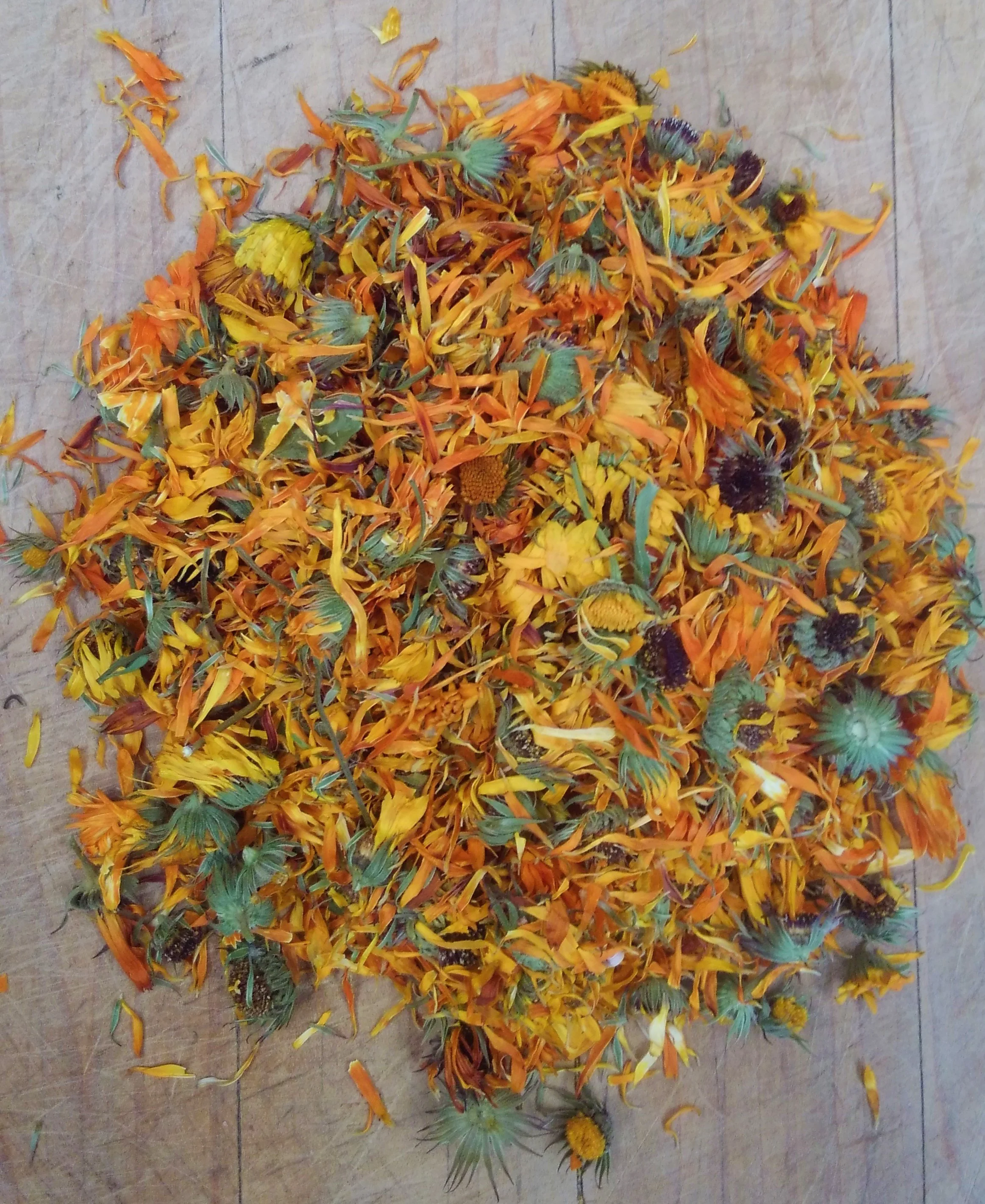 calenduladried.JPG