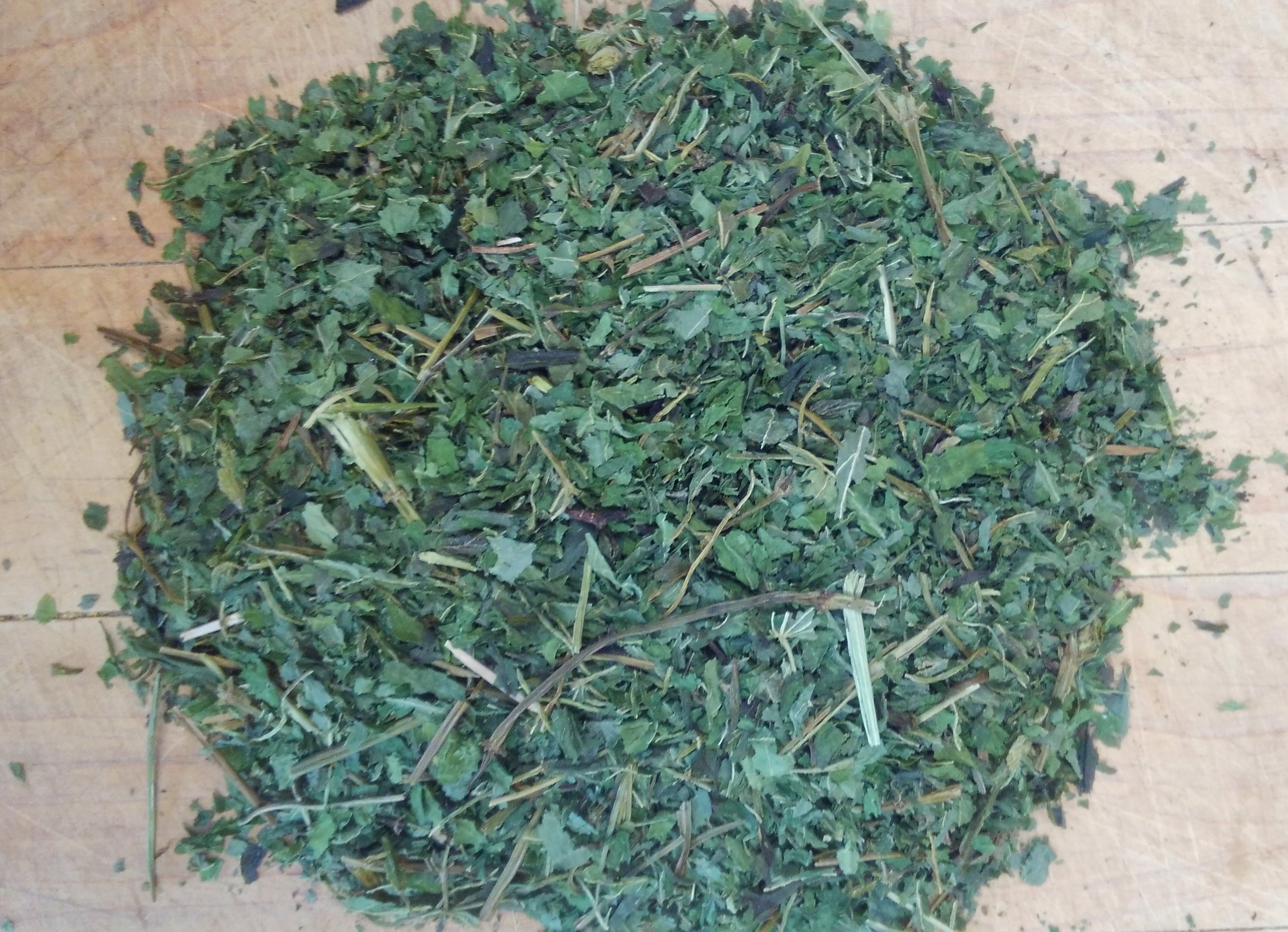 nettleleafdried.JPG