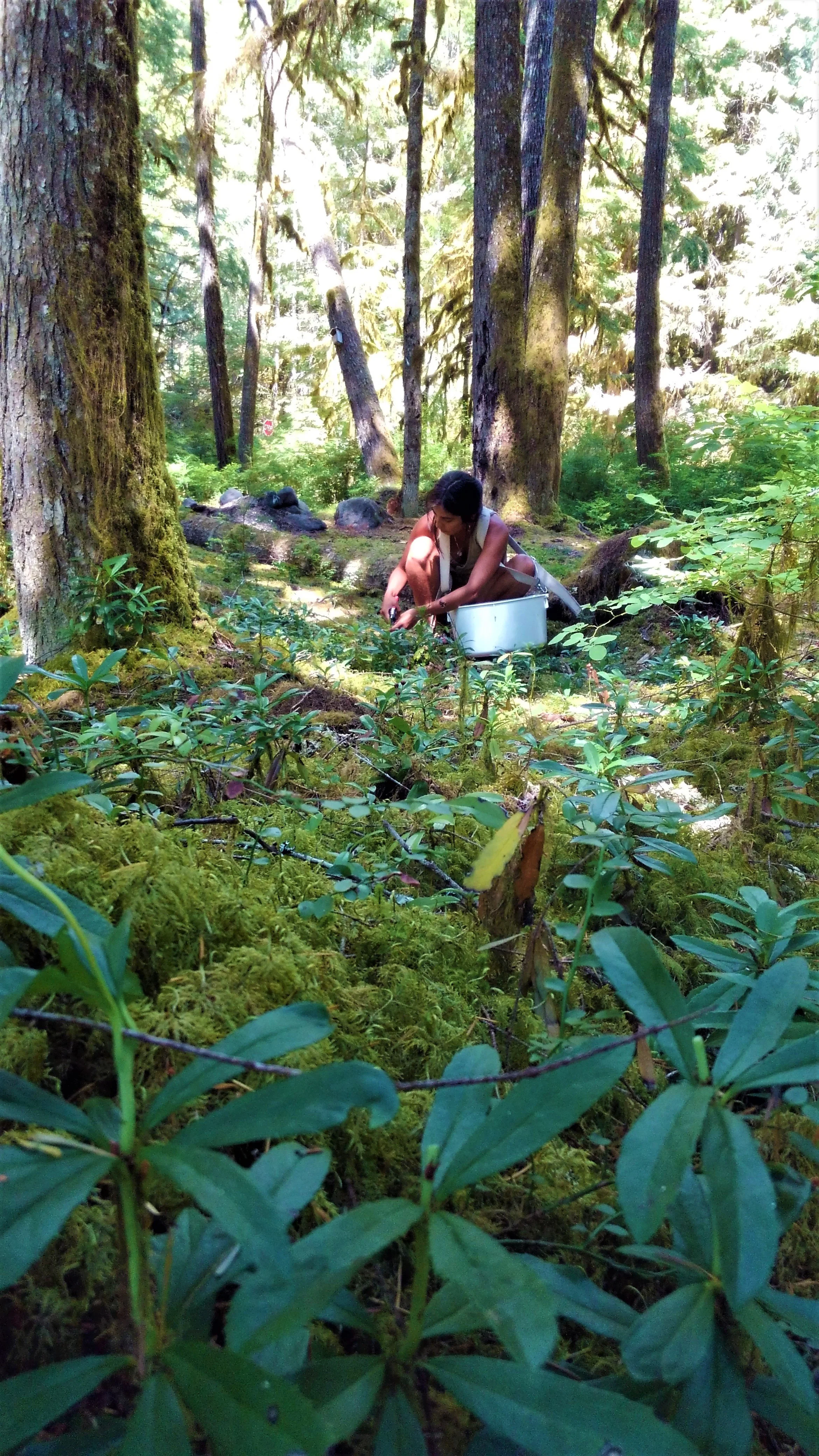 pipsisiwaand jovanique.jpg