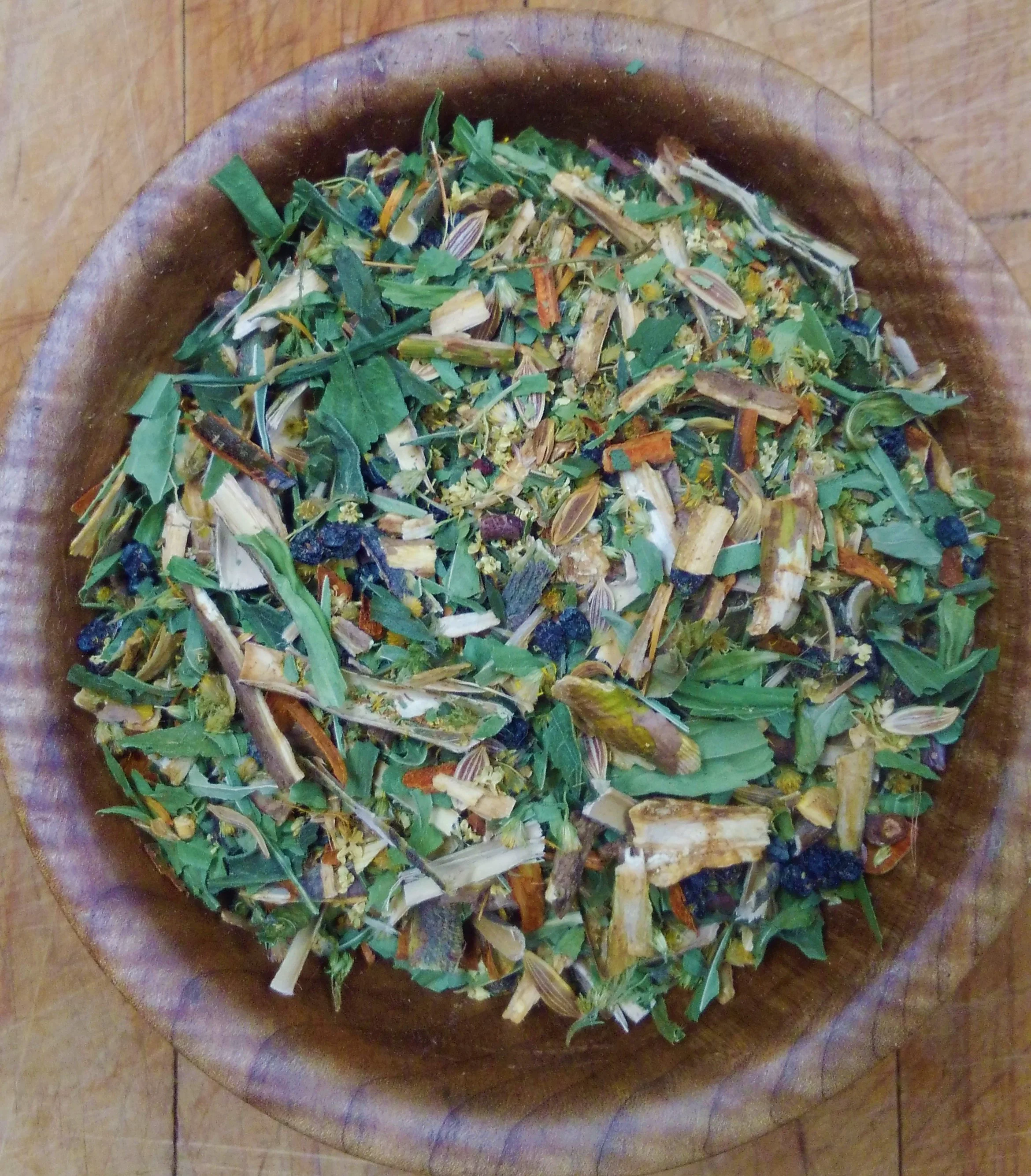 NWforagers cold and flu.JPG