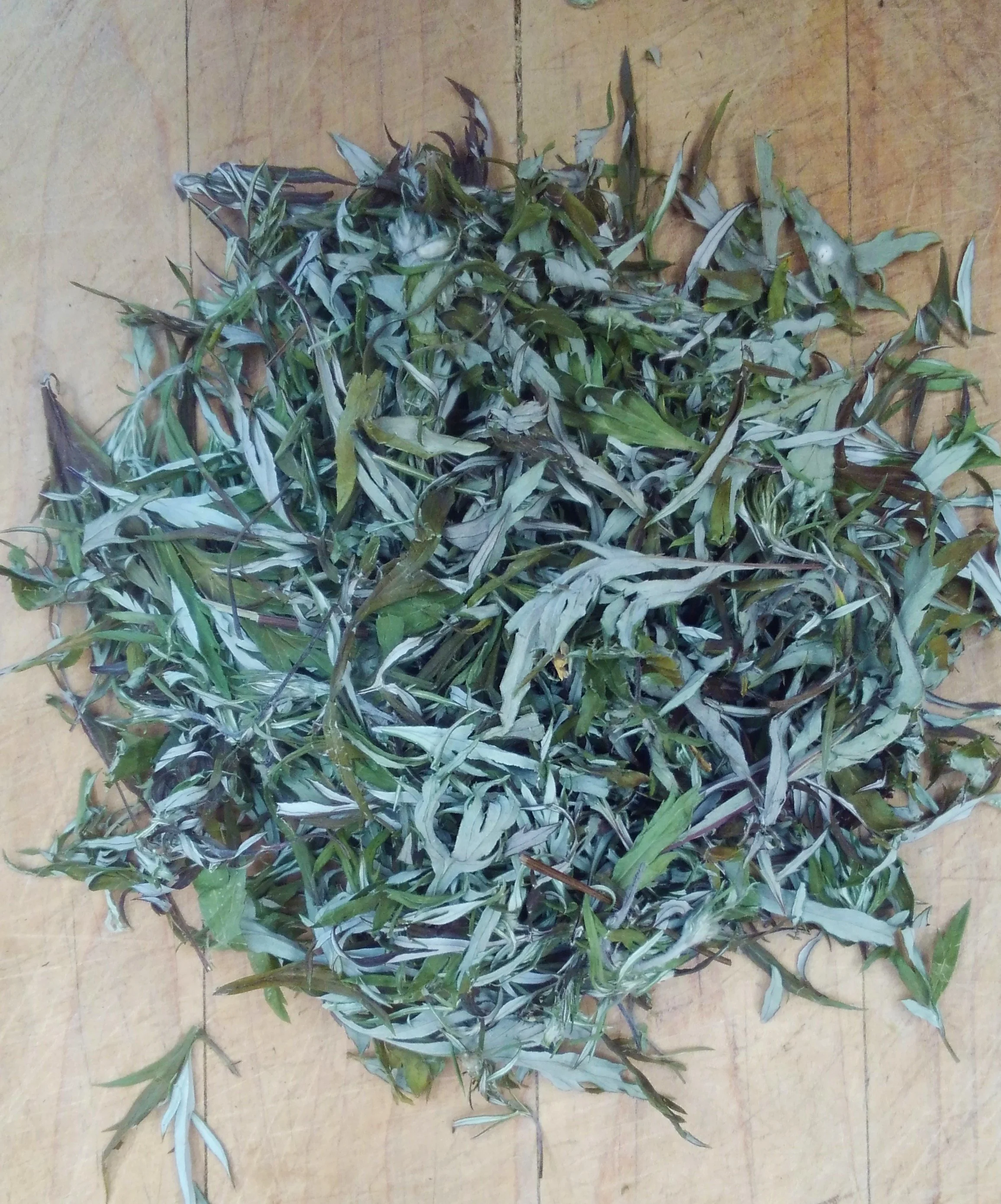 mugwortdriednotbaged.JPG