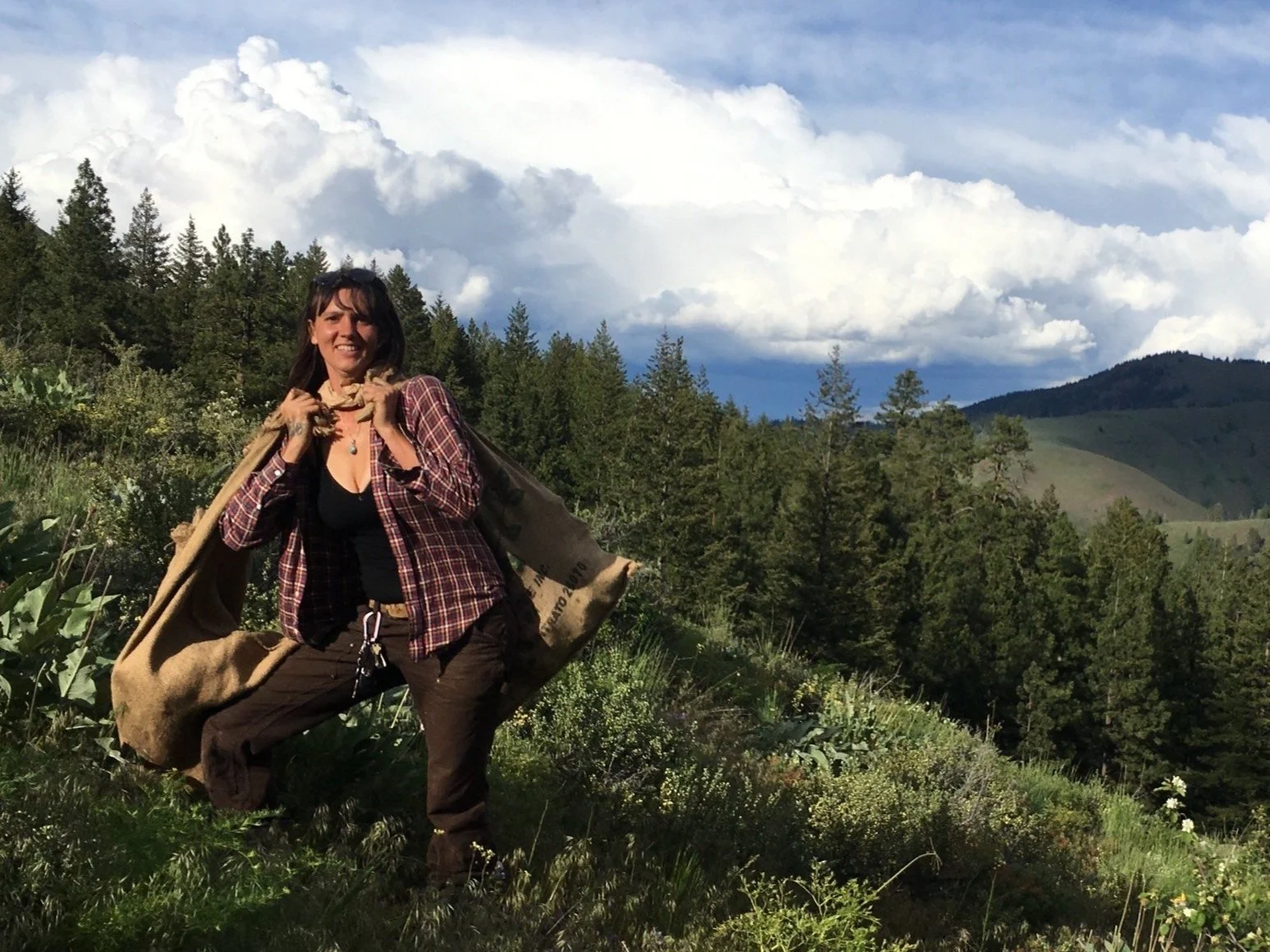 Wild Crafted Tinctures/ Extracts A-Z