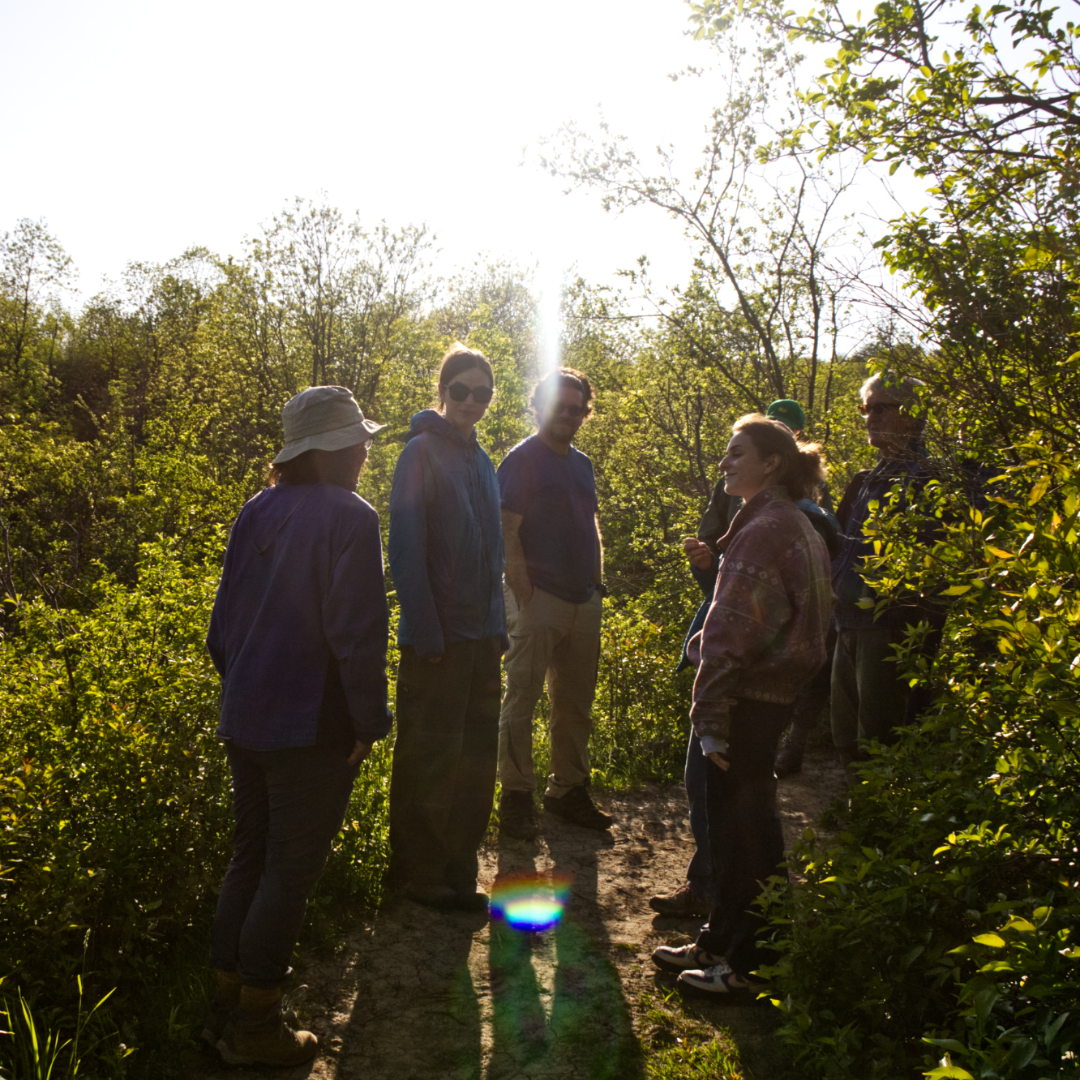  Neighbours of the Hamilton Naturalists’ Club tour the HNC sanctuaries. Photo by Kat Forbes.  