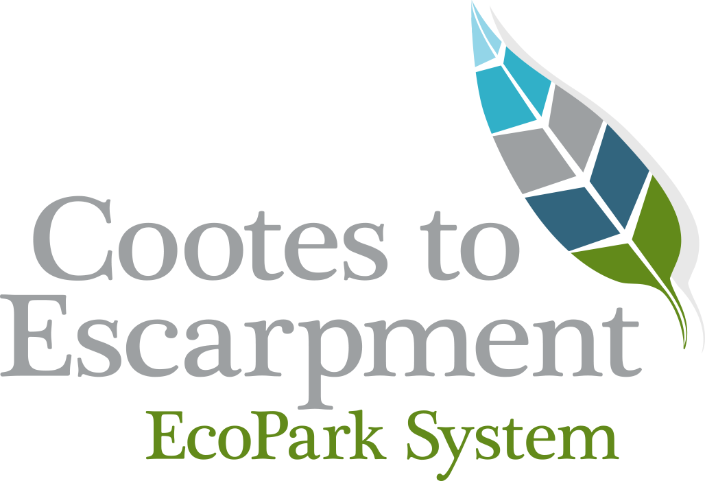 Cootes to Escarpment EcoPark System