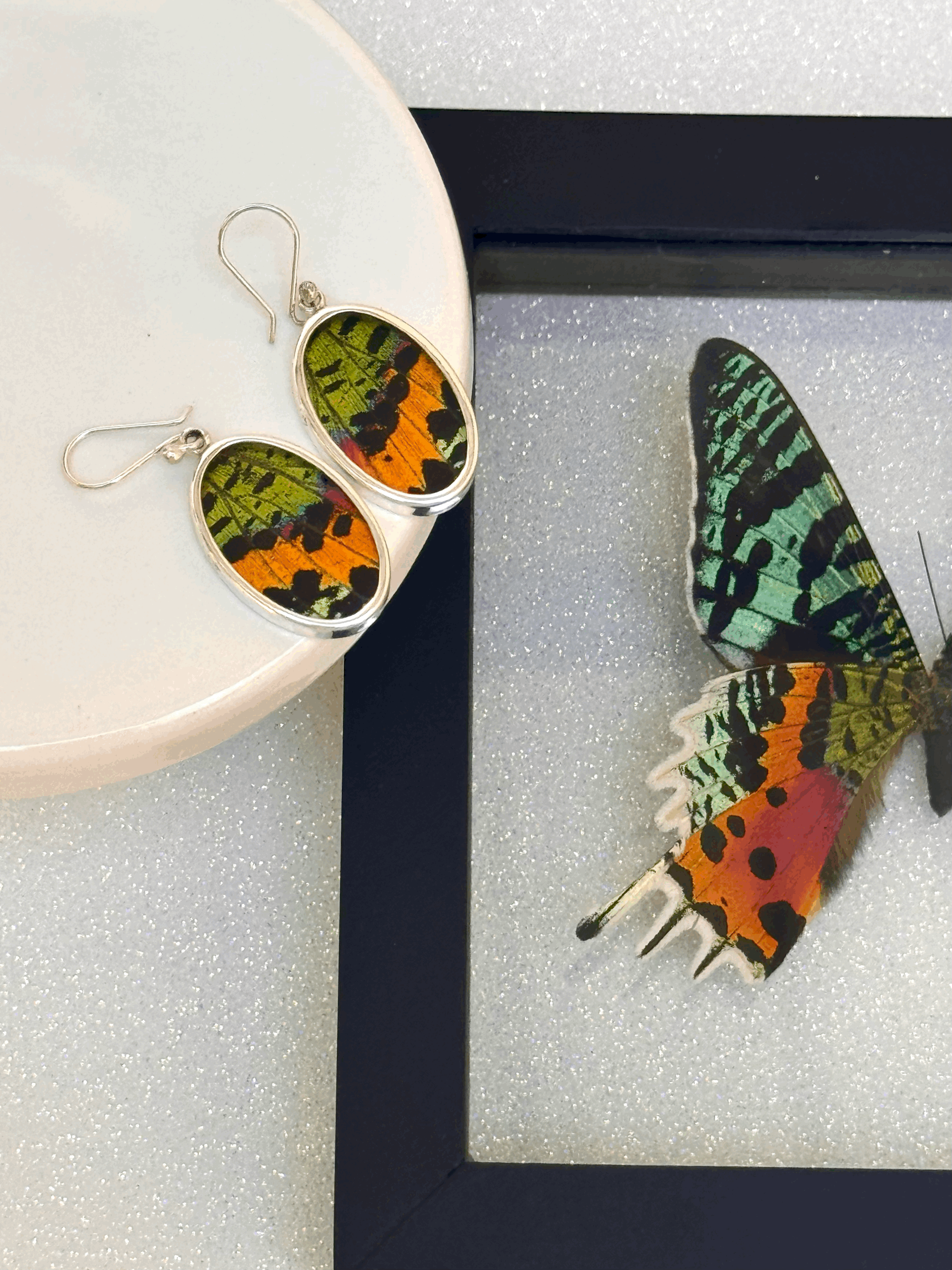 Madagascar Sunset Oval Earrings