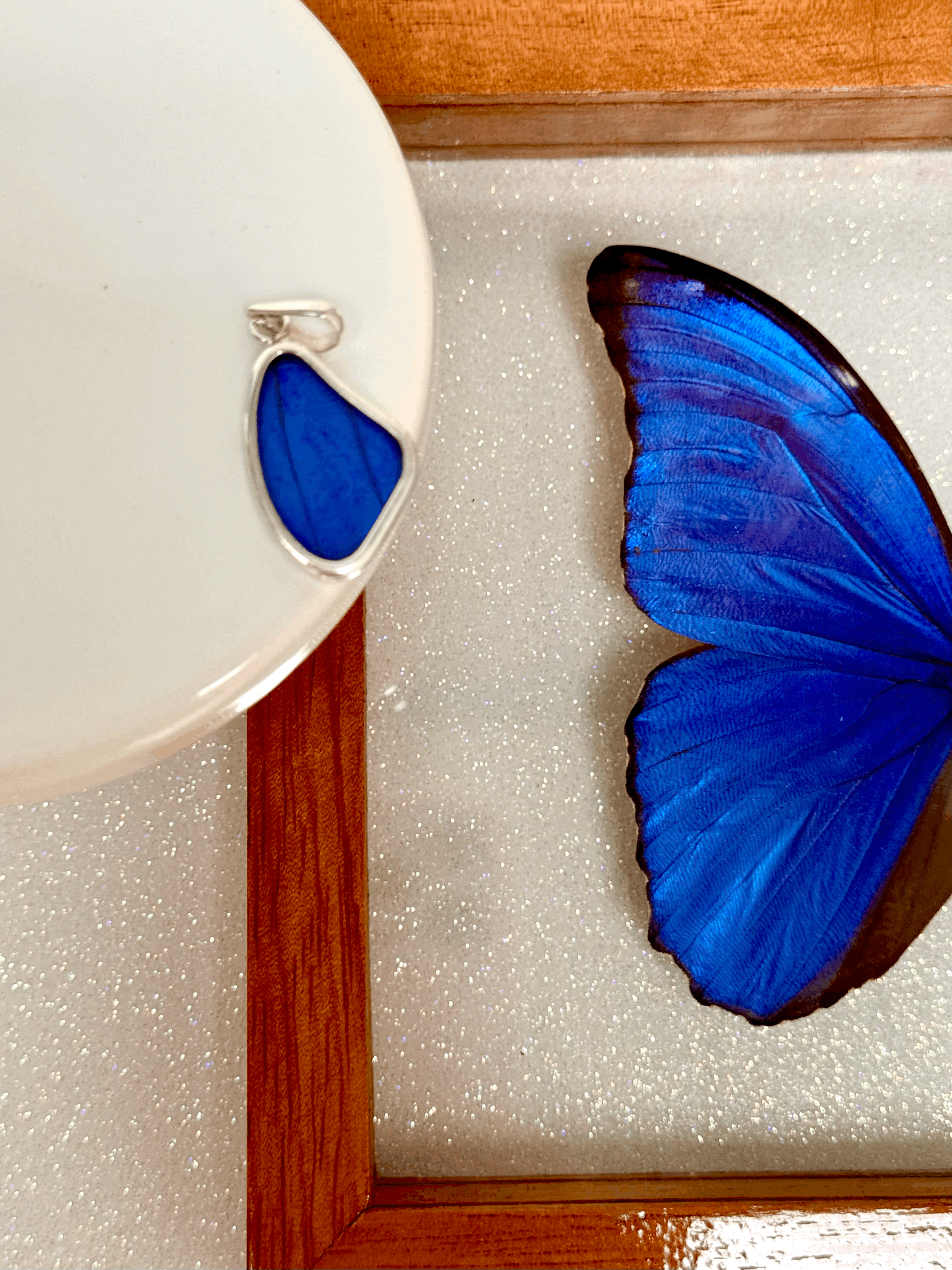 Blue Morpho Pendant