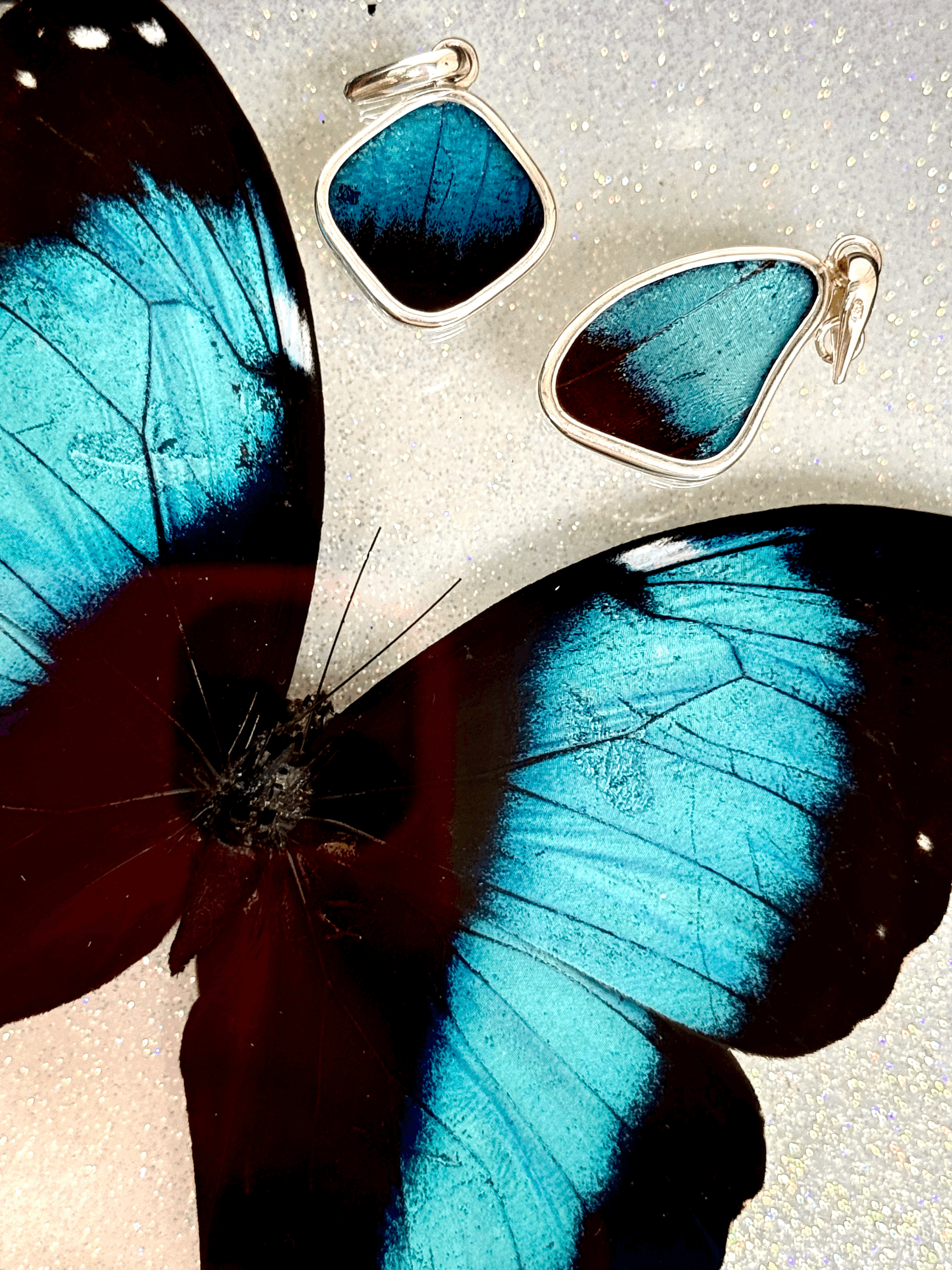 Diadama Morpho Pendants
