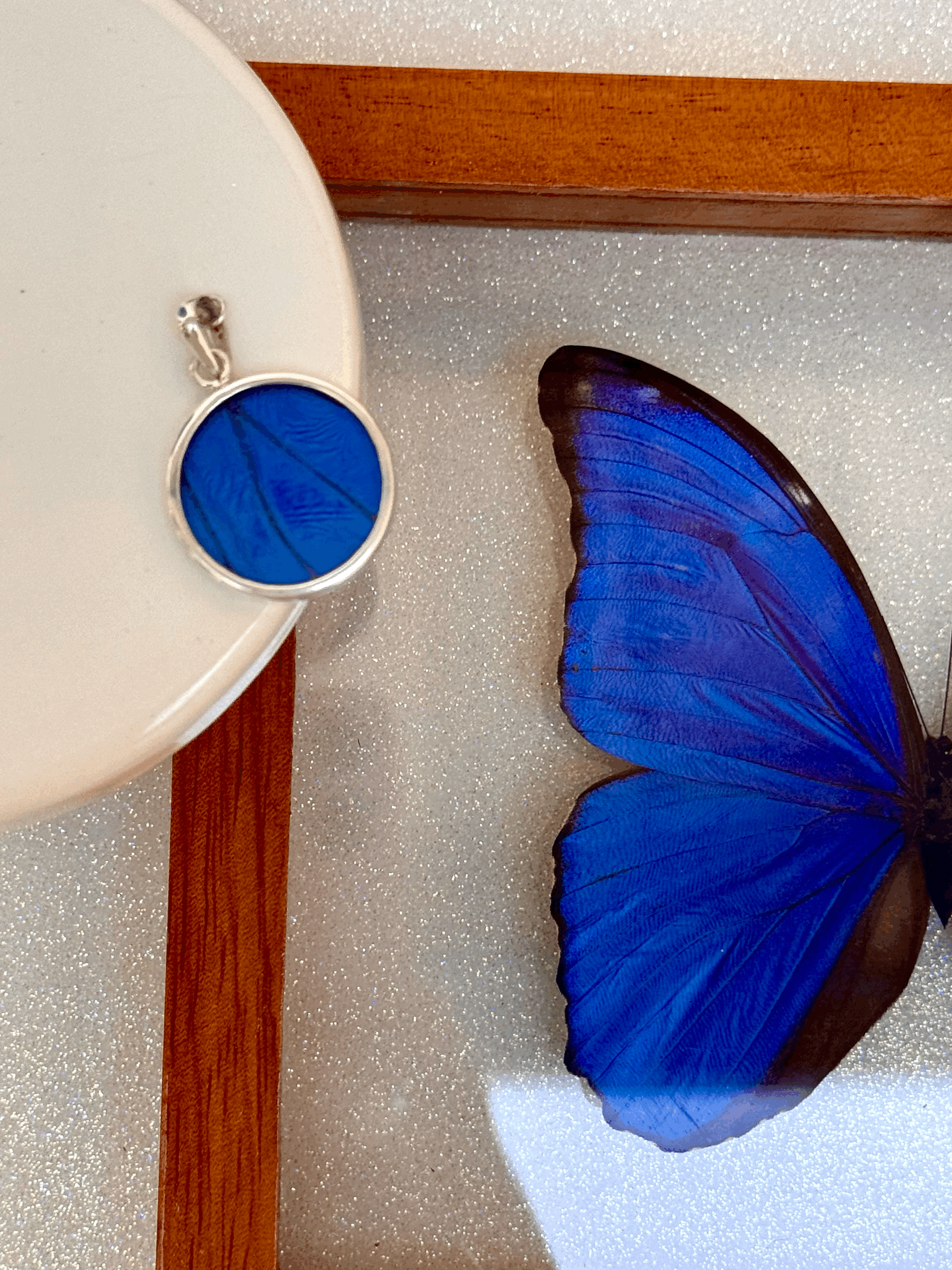 Blue Morpho Round Pendant