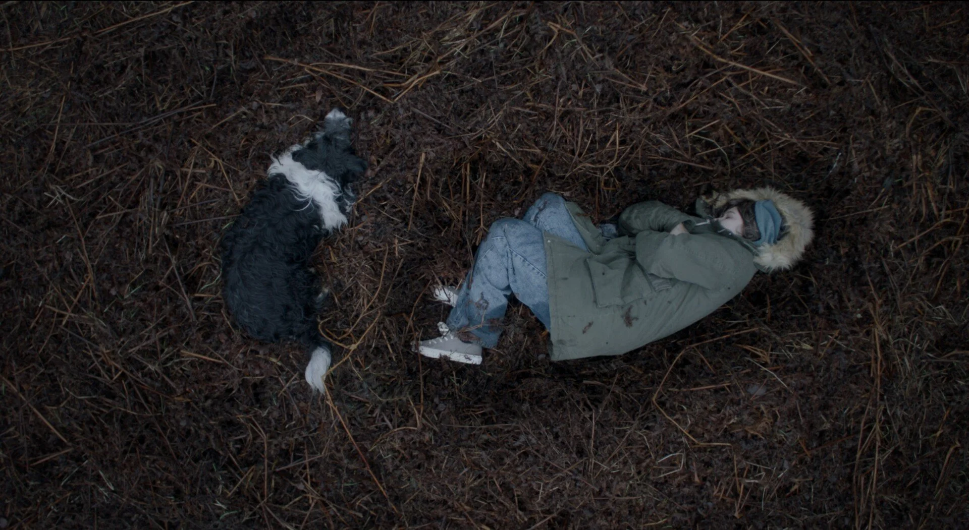 Stray dir. Morven Christie