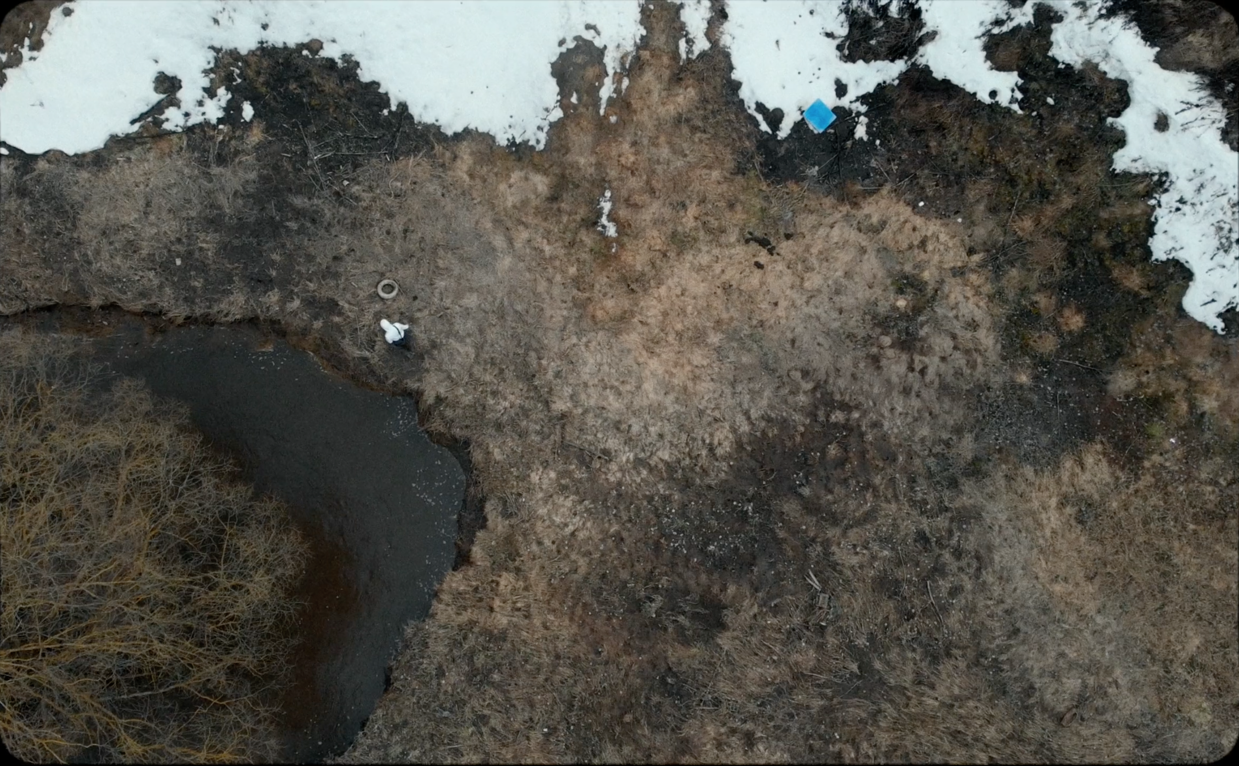 White Point dir. Stepan Liubimov