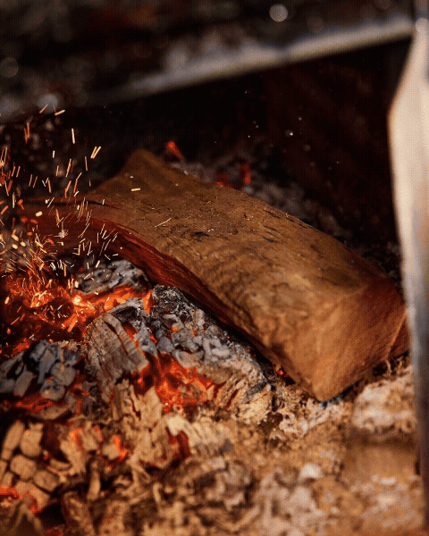 The Eternal Flame — the key to bringing the heat 🔥 and flavor. From the Grill: Dry Aged Ribeye, Grilled King Oyster Mushrooms, and Branzino. #WINNER