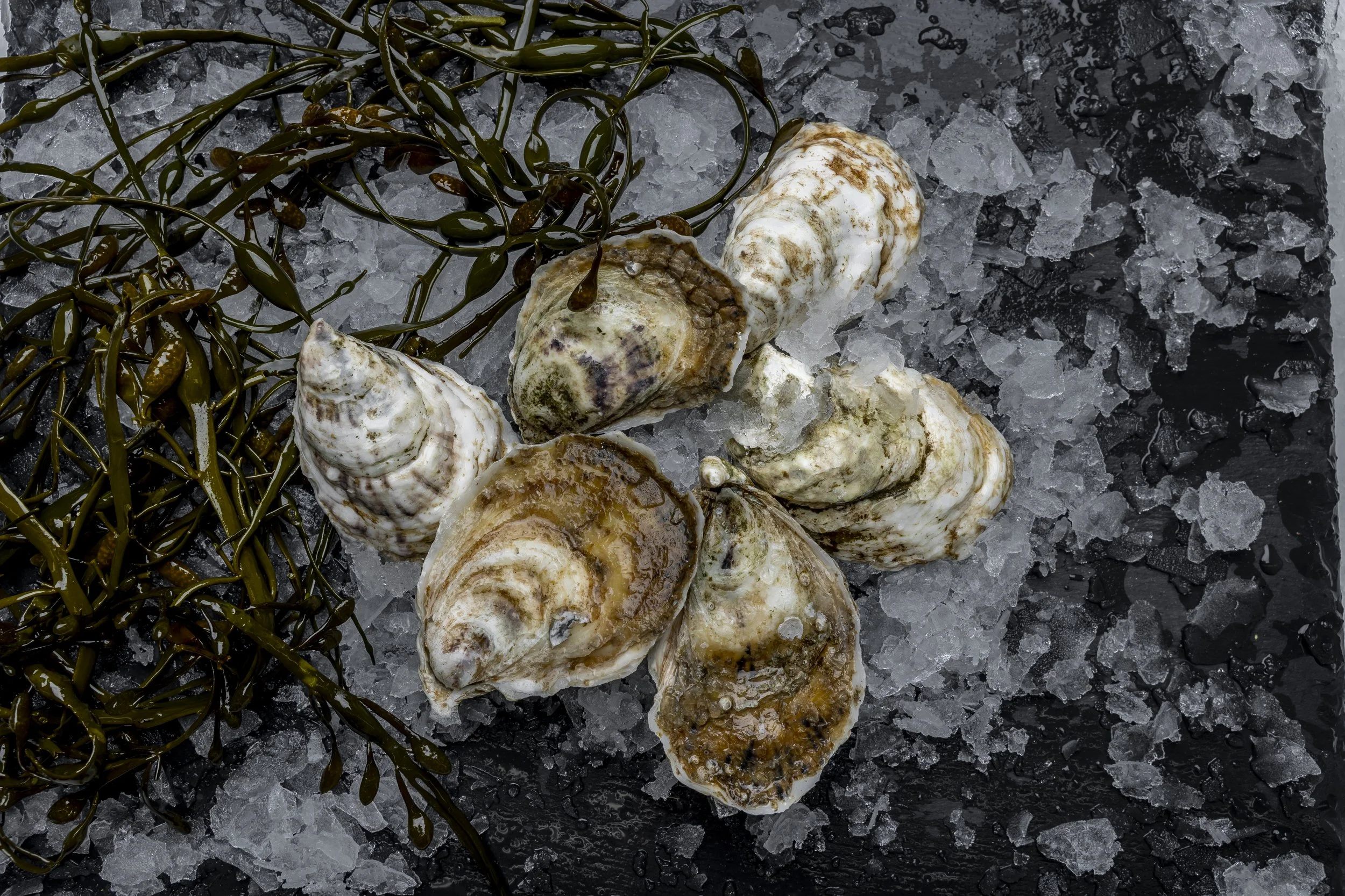 Half a dozen oysters on ice