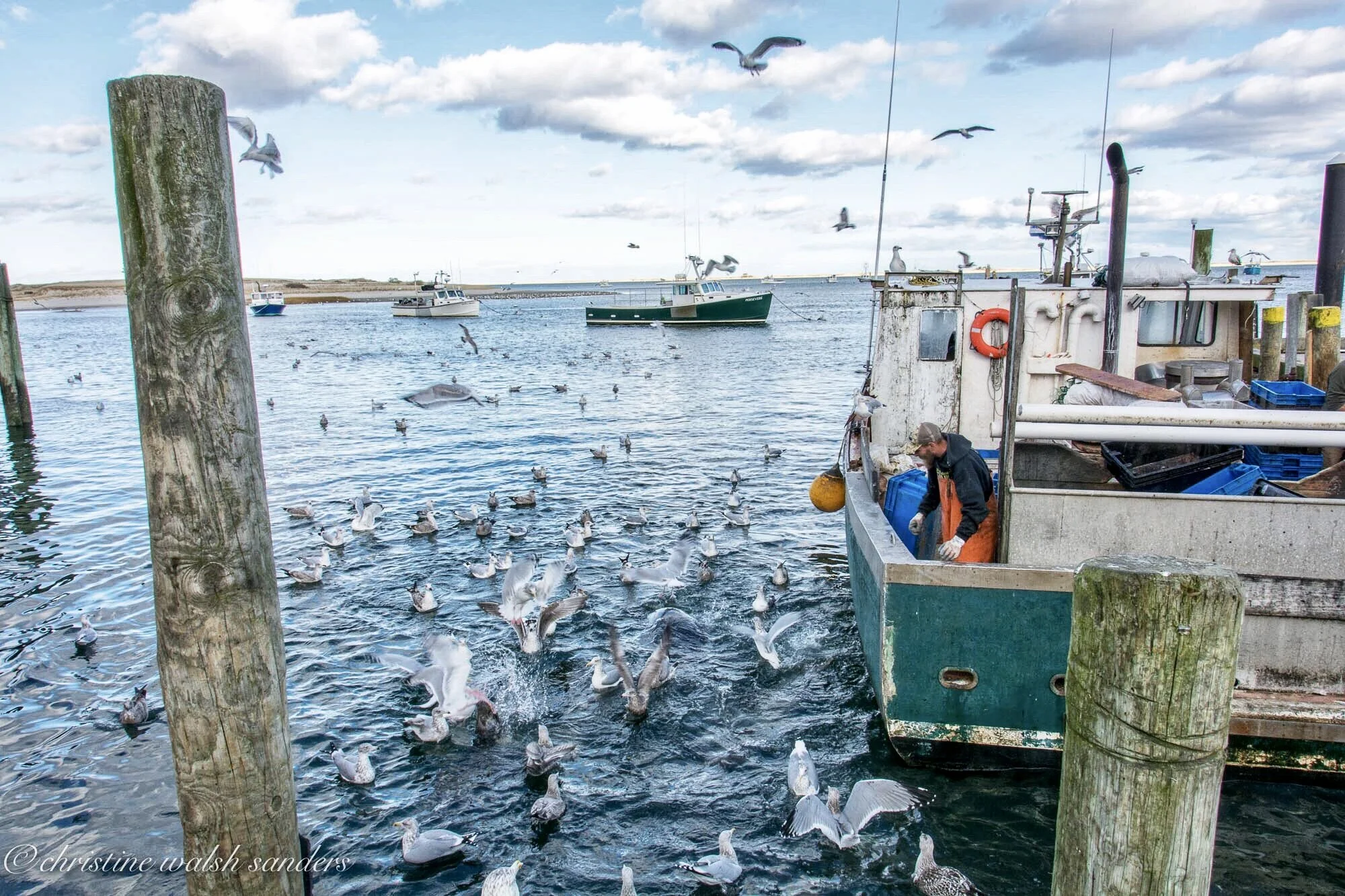 A flock of seagulls circles a fishing boat at the dock