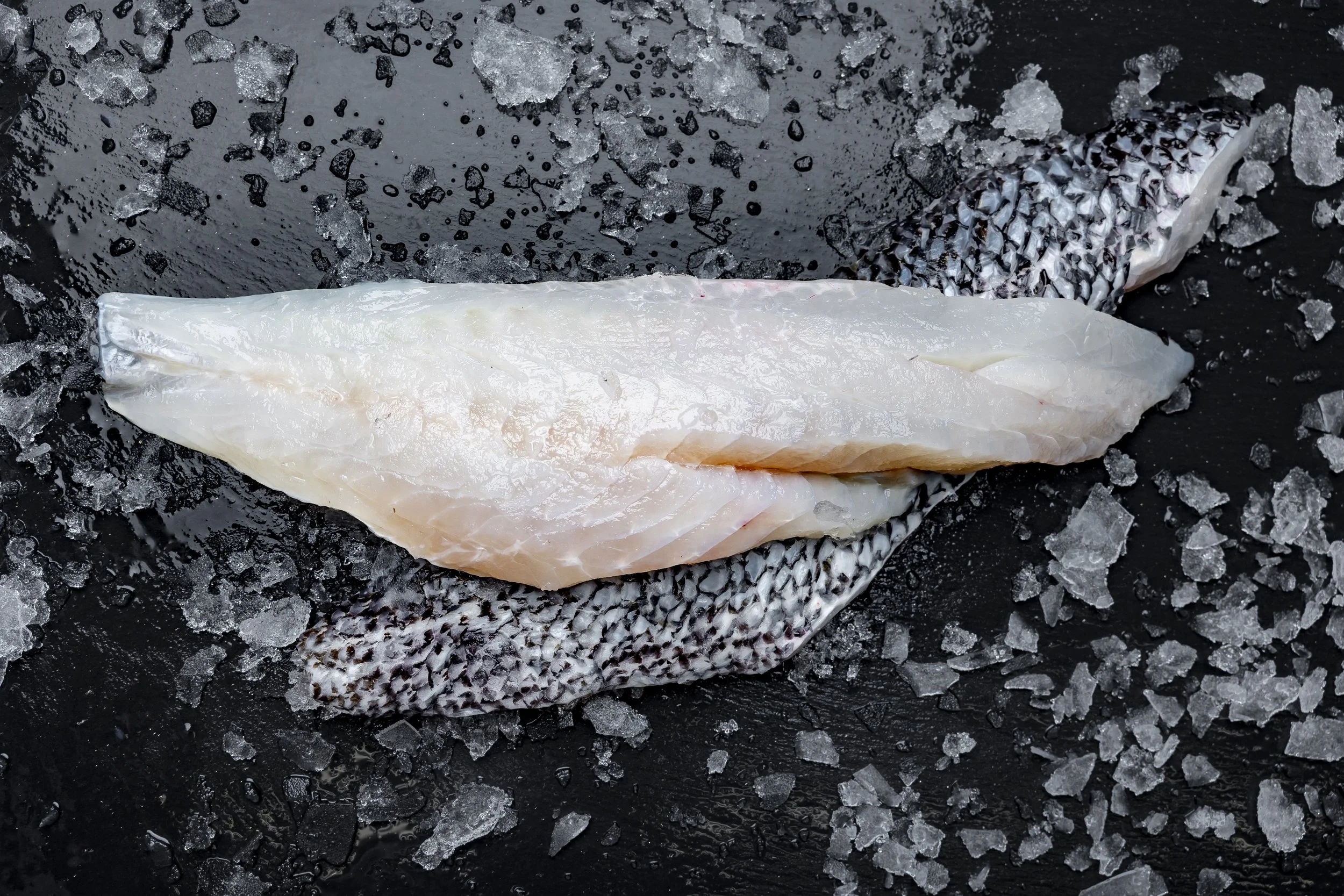 Black Sea Bass fillets