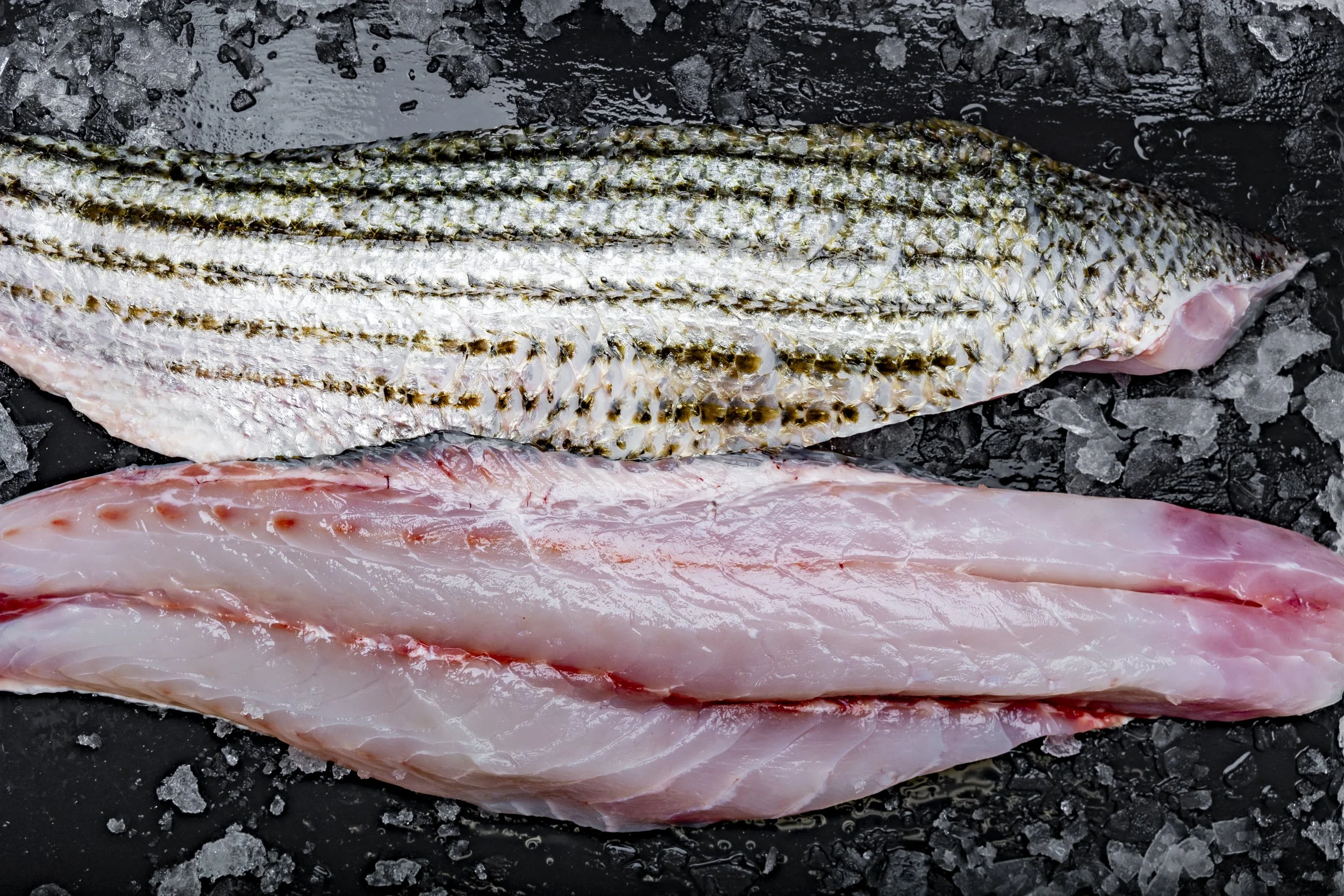 Striped Bass fillets