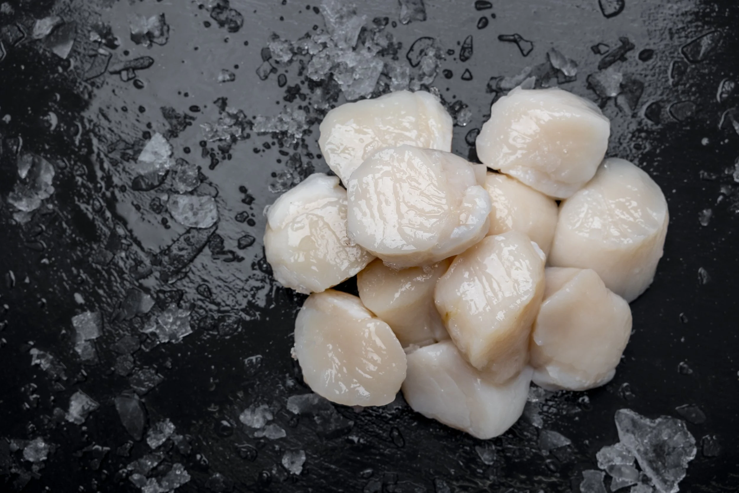 A pile of day boat scallop ready for preparation 