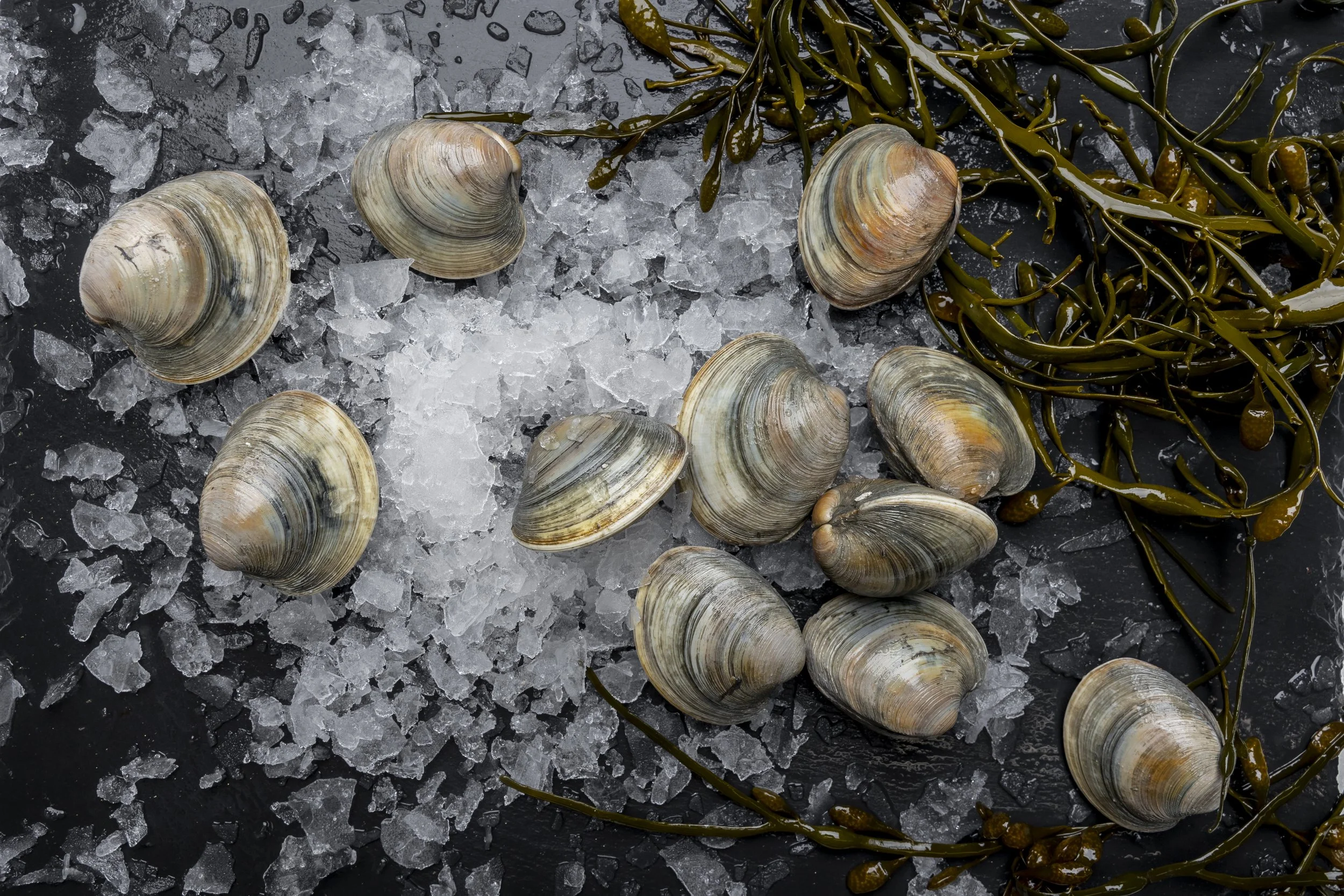 A pile of little neck clams on ice