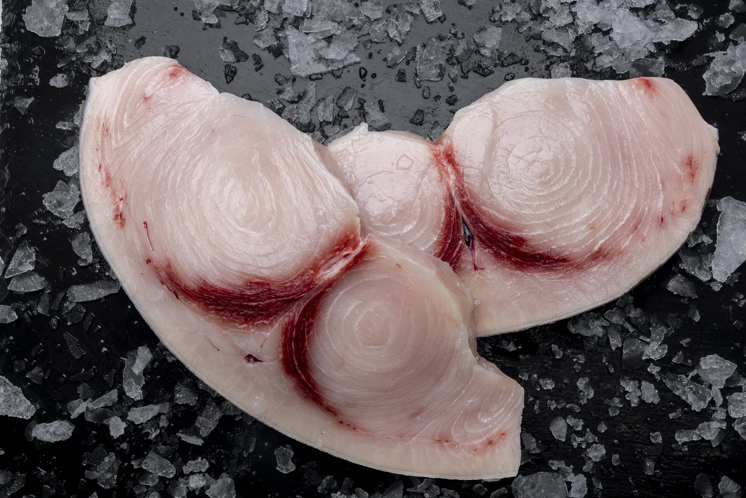 Swordfish steaks ready for cooking