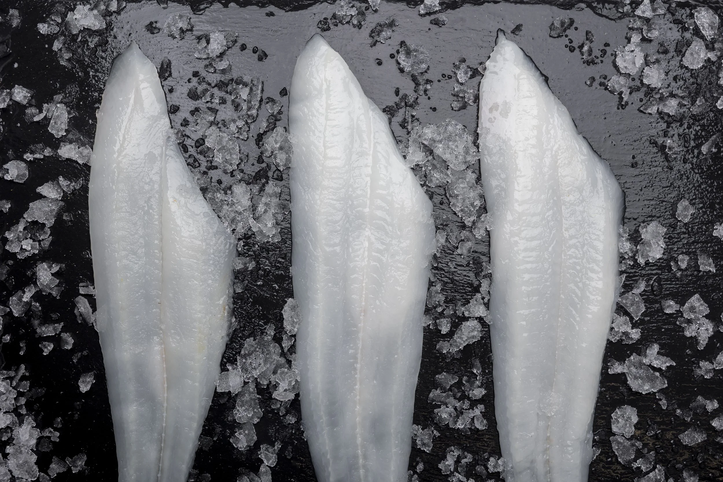 Fillets of Sole fish ready for preperation