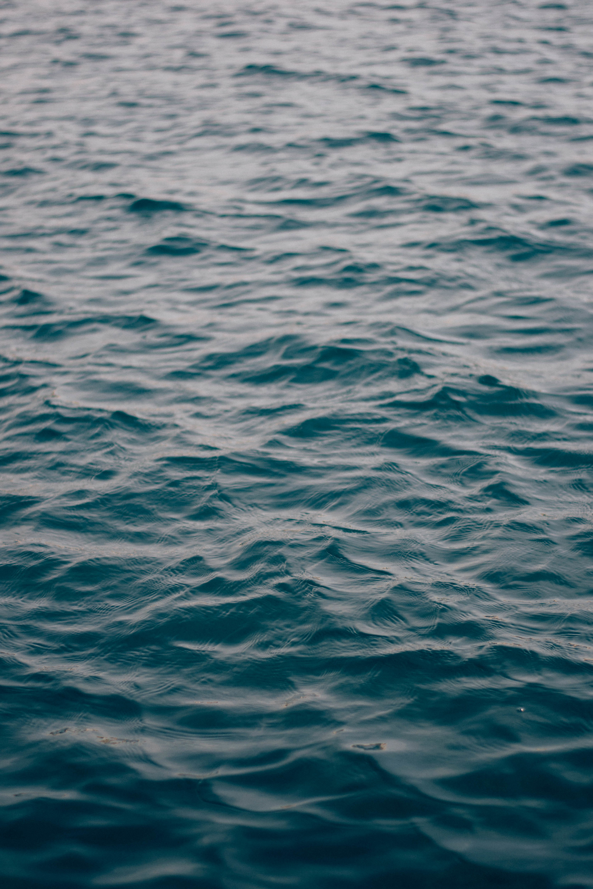 Your Sprint Backlog
