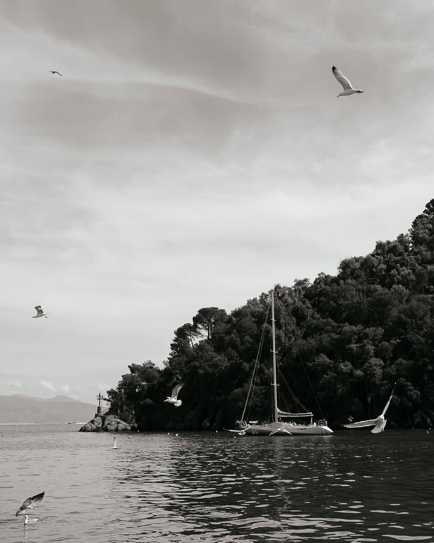 Portofino&hellip;.my love&hellip;.🌹

Splendid views at Splendido Mare 🍹

#splendidoportofino #portofino #travelphotography #weddingphotographer #italy